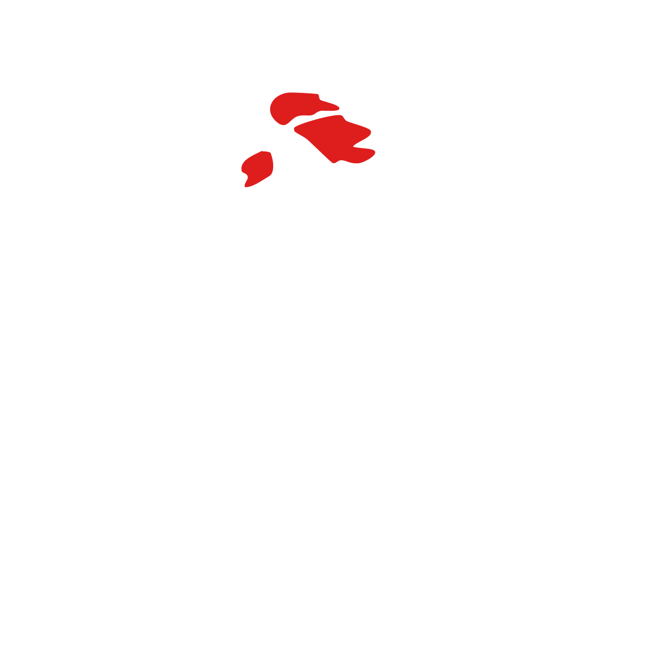 Our clients_the chamba project.png