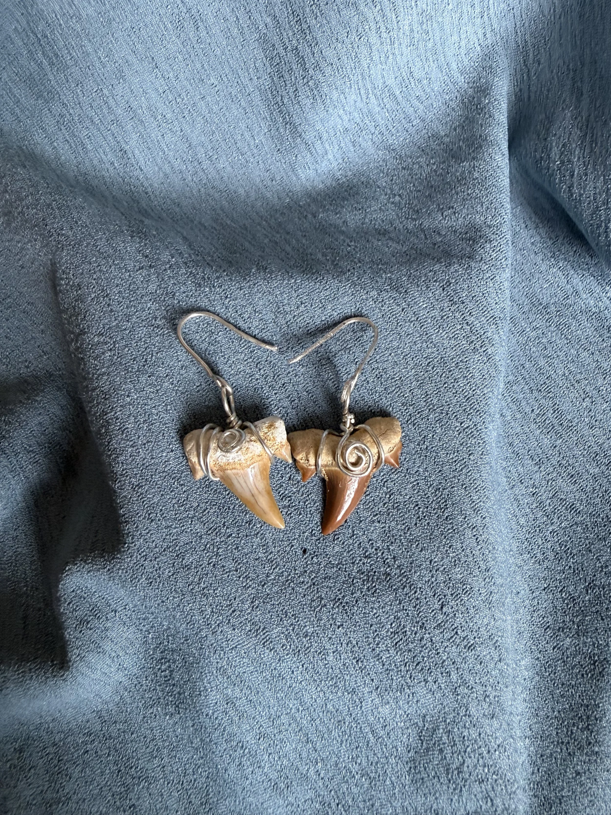 Shark Tooth Earrings