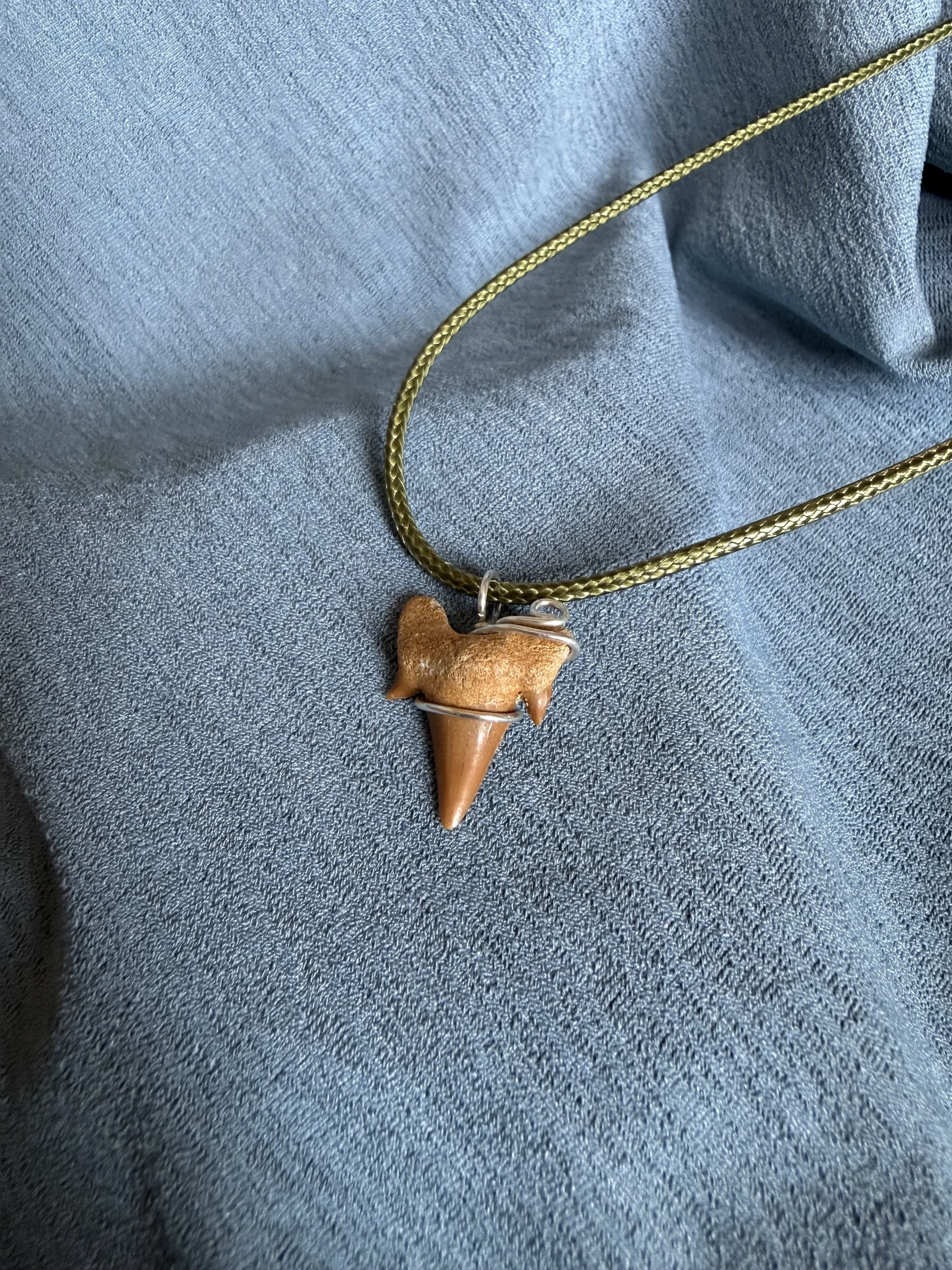 Shark Tooth Necklace