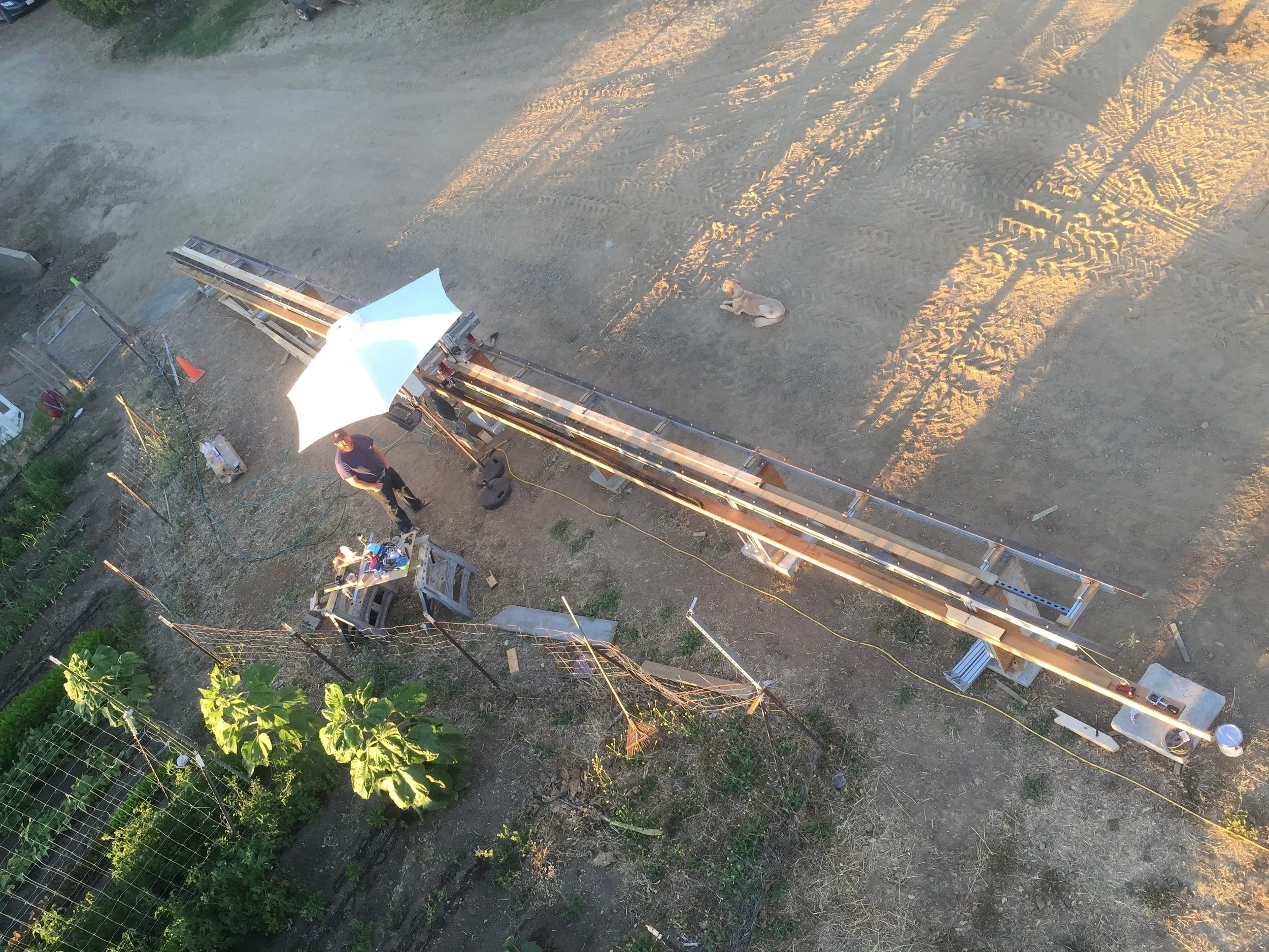 timber gridshell (24).JPG