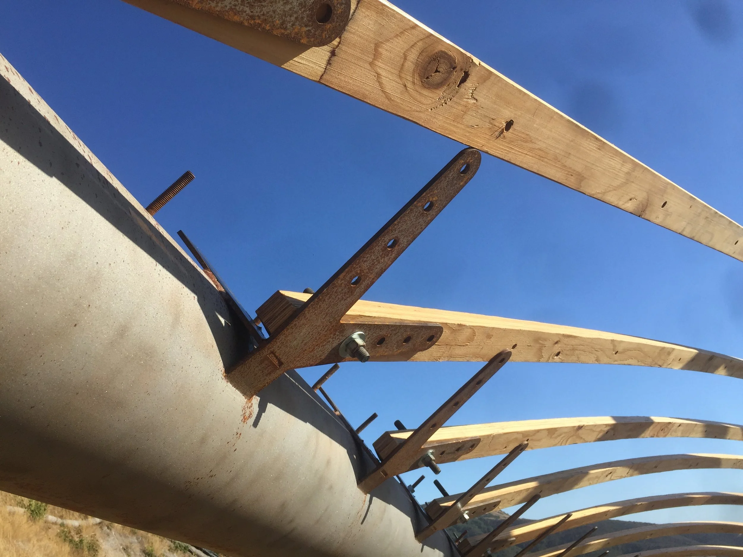 timber gridshell (25).JPG