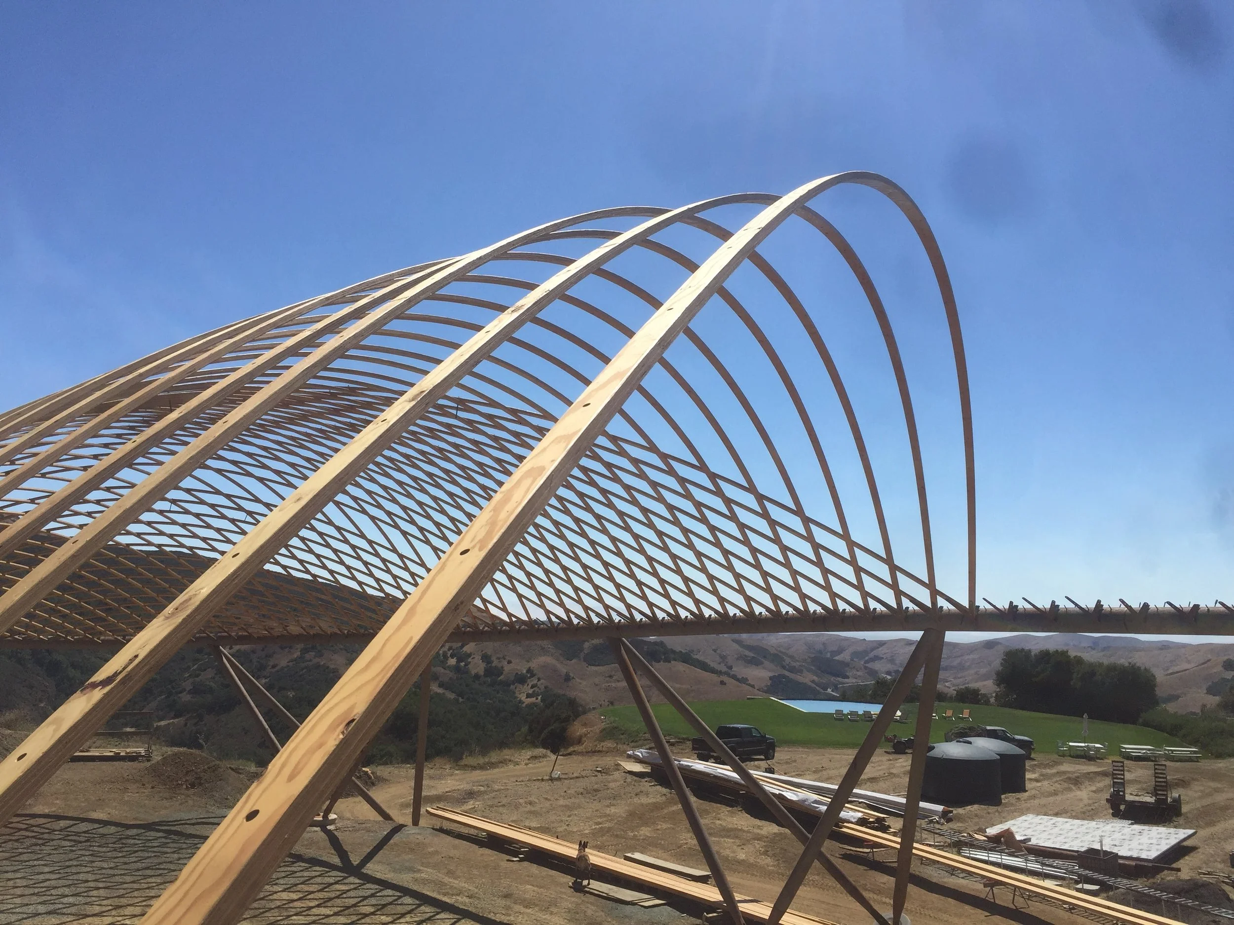 timber gridshell (28).JPG