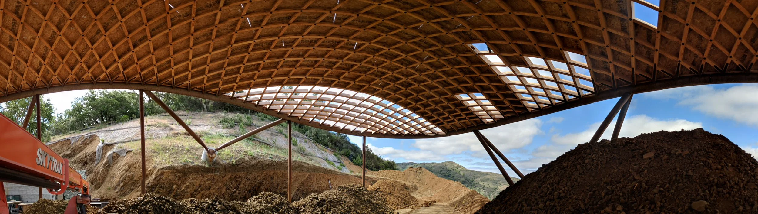 timber gridshell (13).jpg