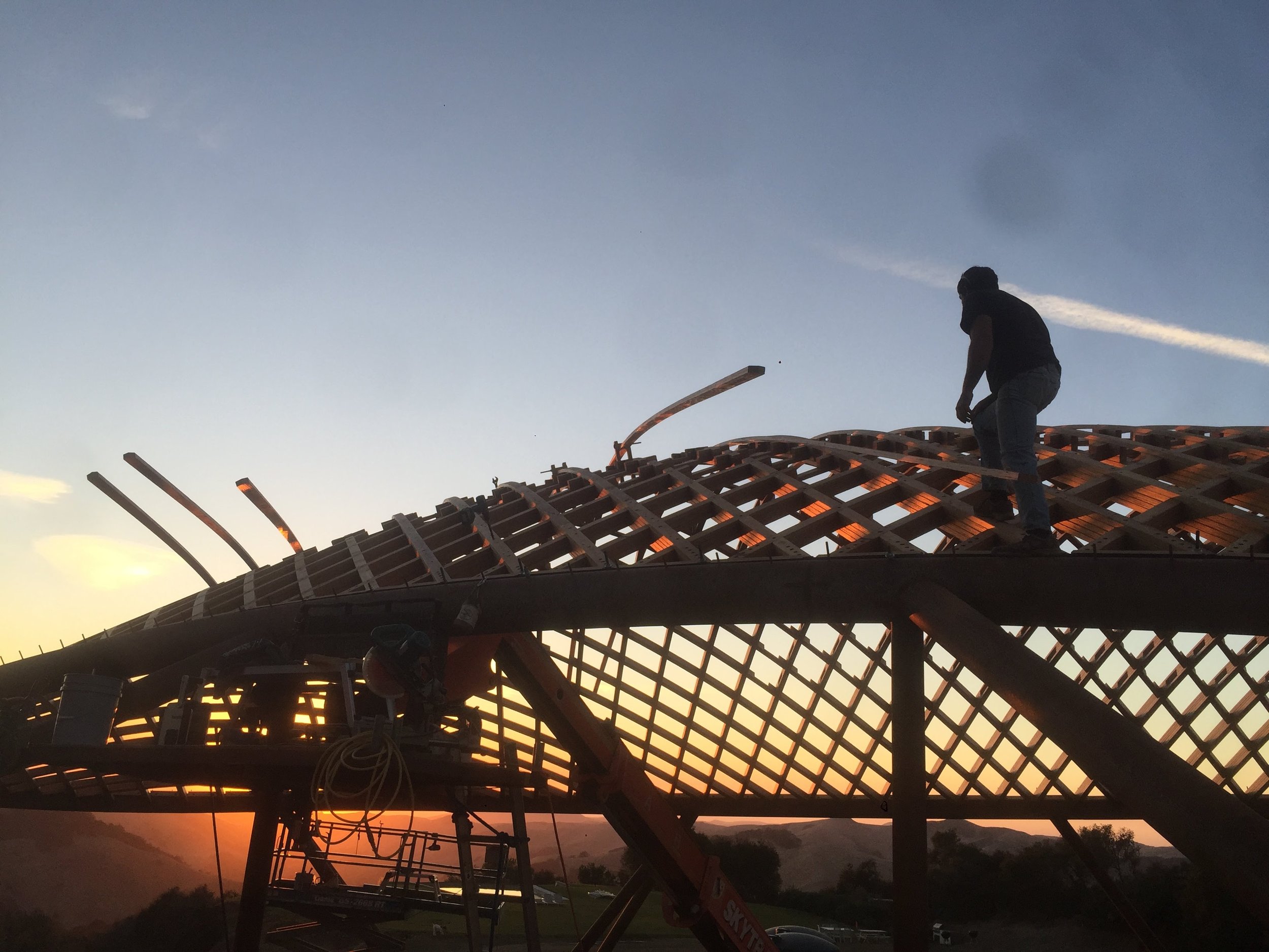 timber gridshell (4).JPG