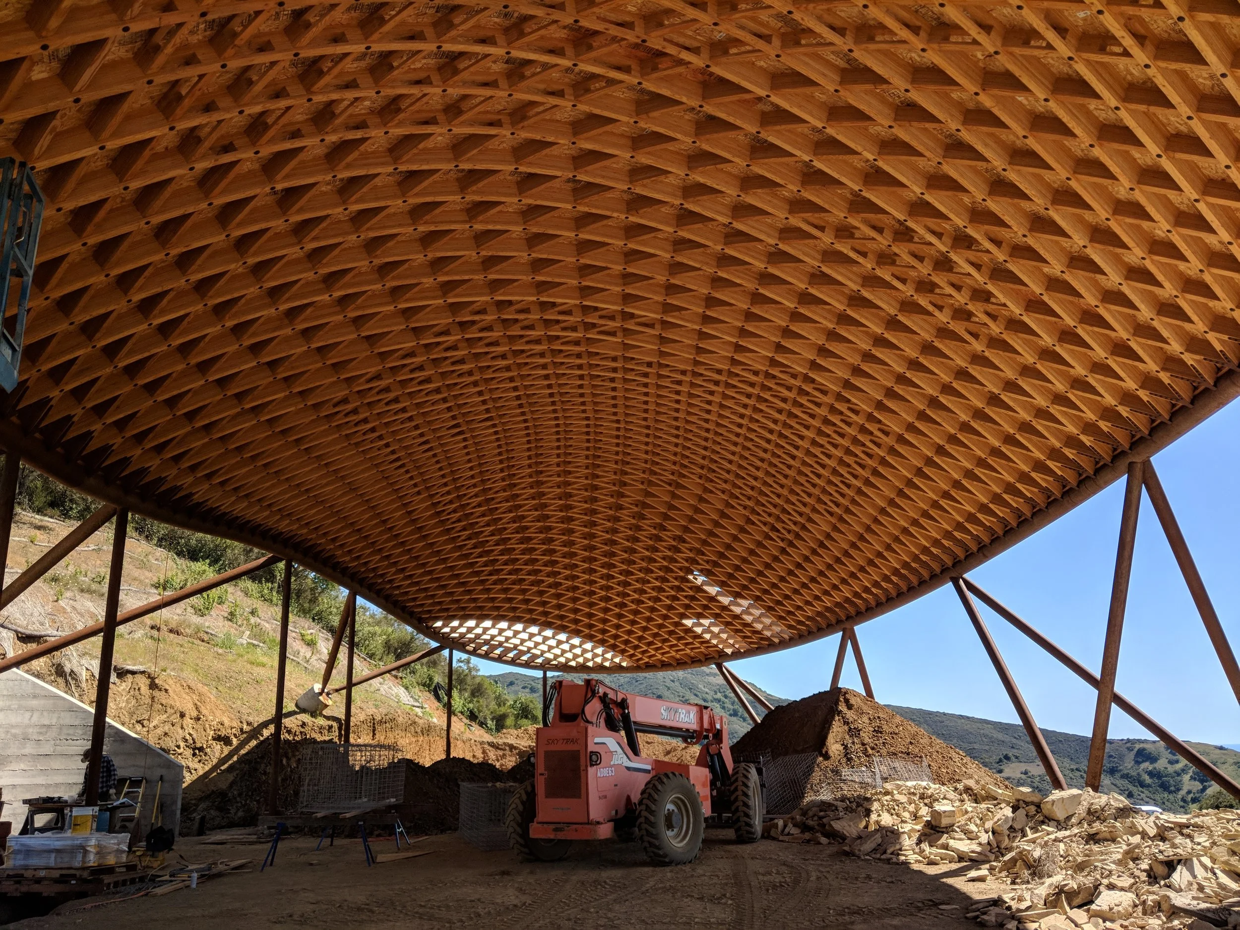 timber gridshell (11).jpg