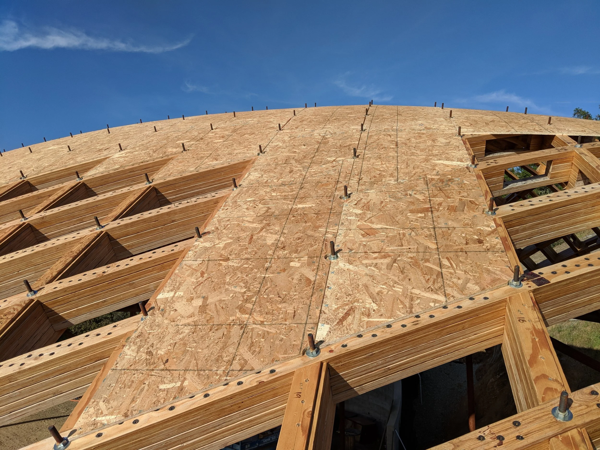 timber gridshell (8).jpg