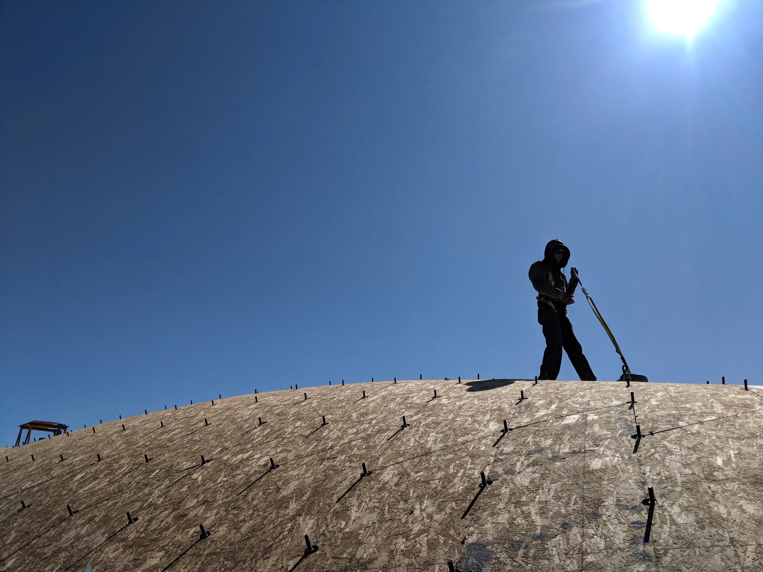 timber gridshell (10).jpg