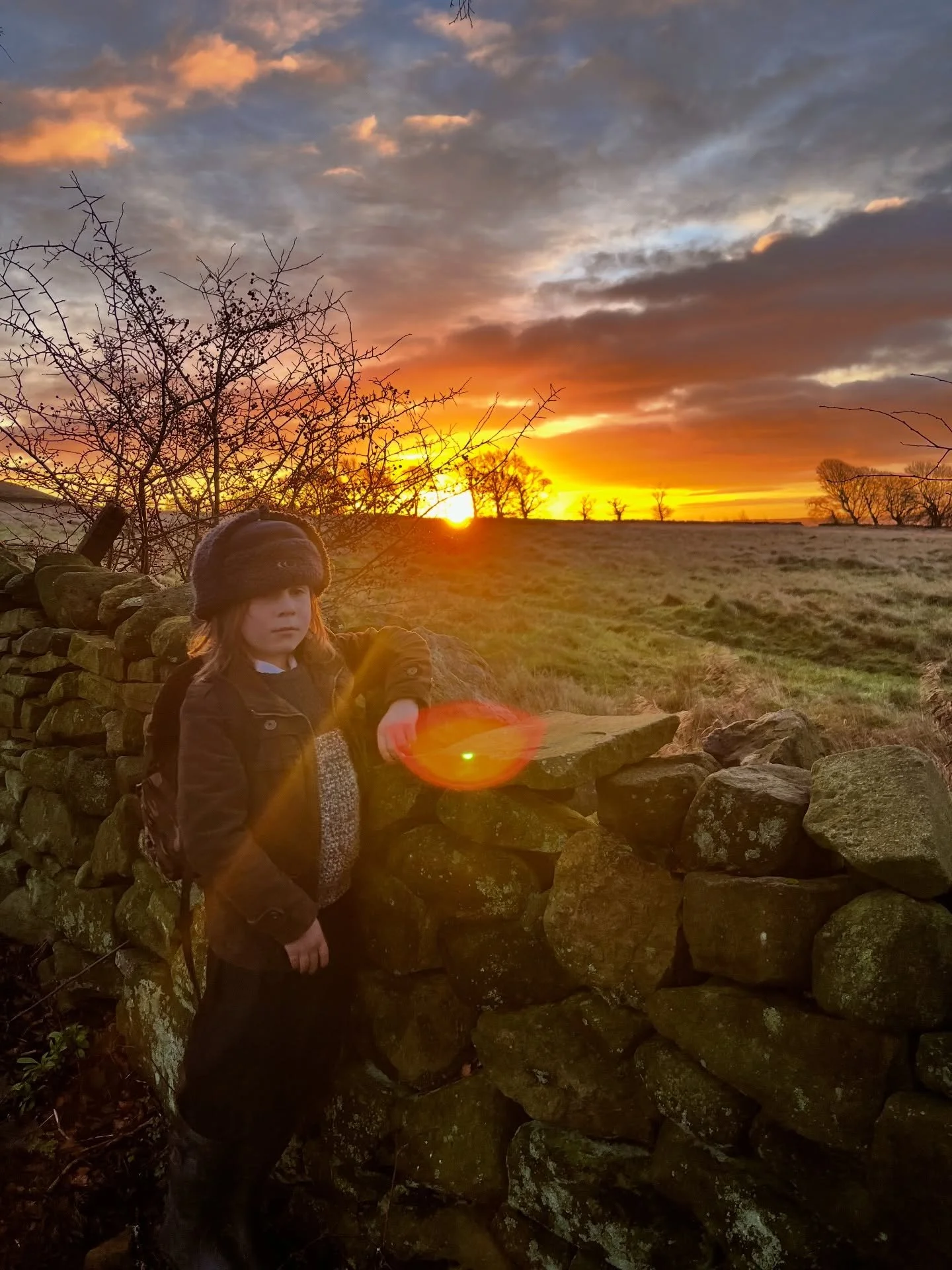 Our garden wall! 2026 is set to be another big year in astrology. Do not be surprised if you feel a deep sense of confusion at base level, or a full on cosmic elevation on a deeper level! Mercury will be experiencing its retrogrades next year in the 