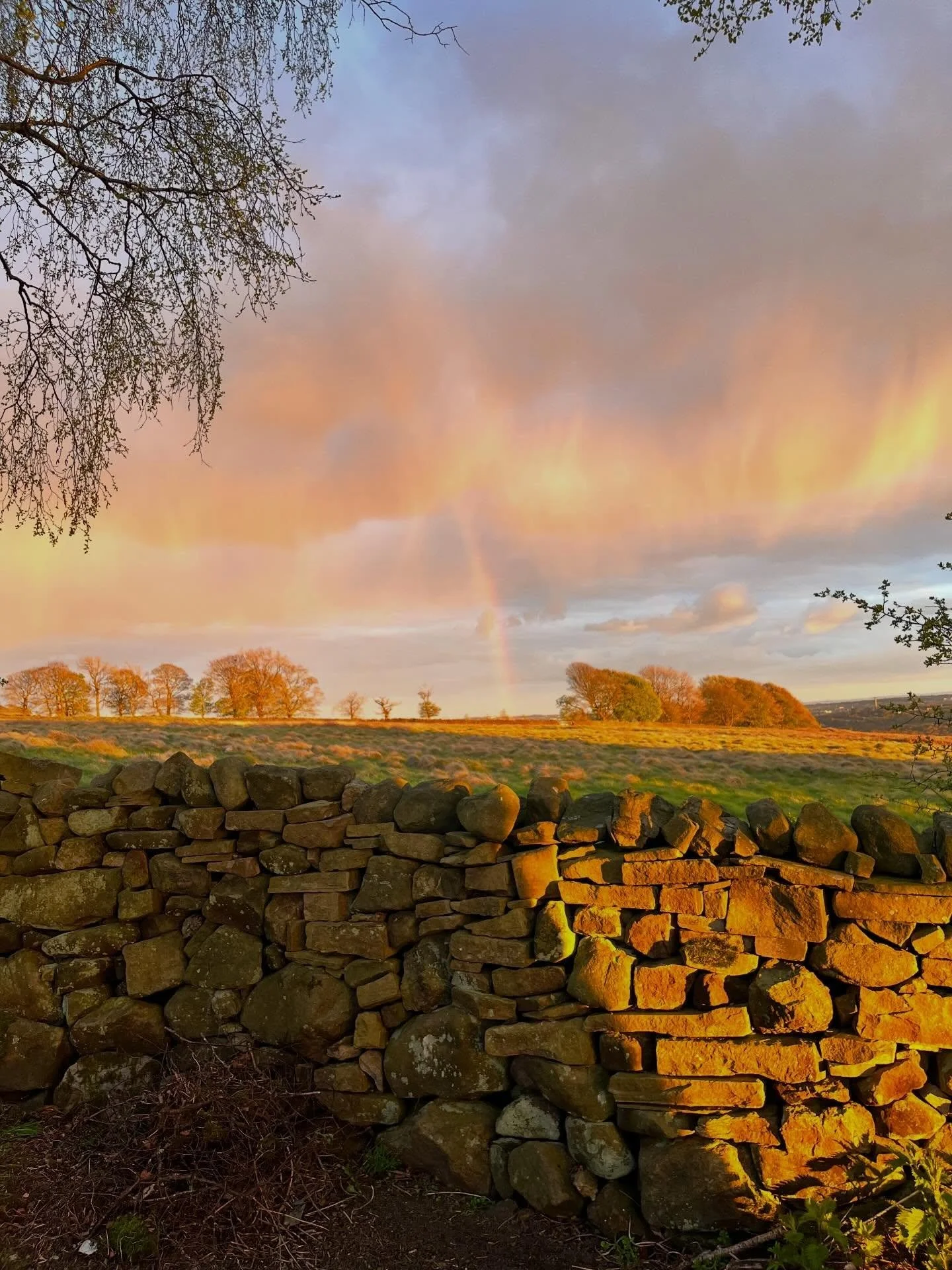 Some of our real life from march/april. Try to stay on brand with my content but sometimes I think its nice to share normal life. So many beautiful rainbows here. The lay of the land offers so many places for light to be captured. #paganlife #rainbow