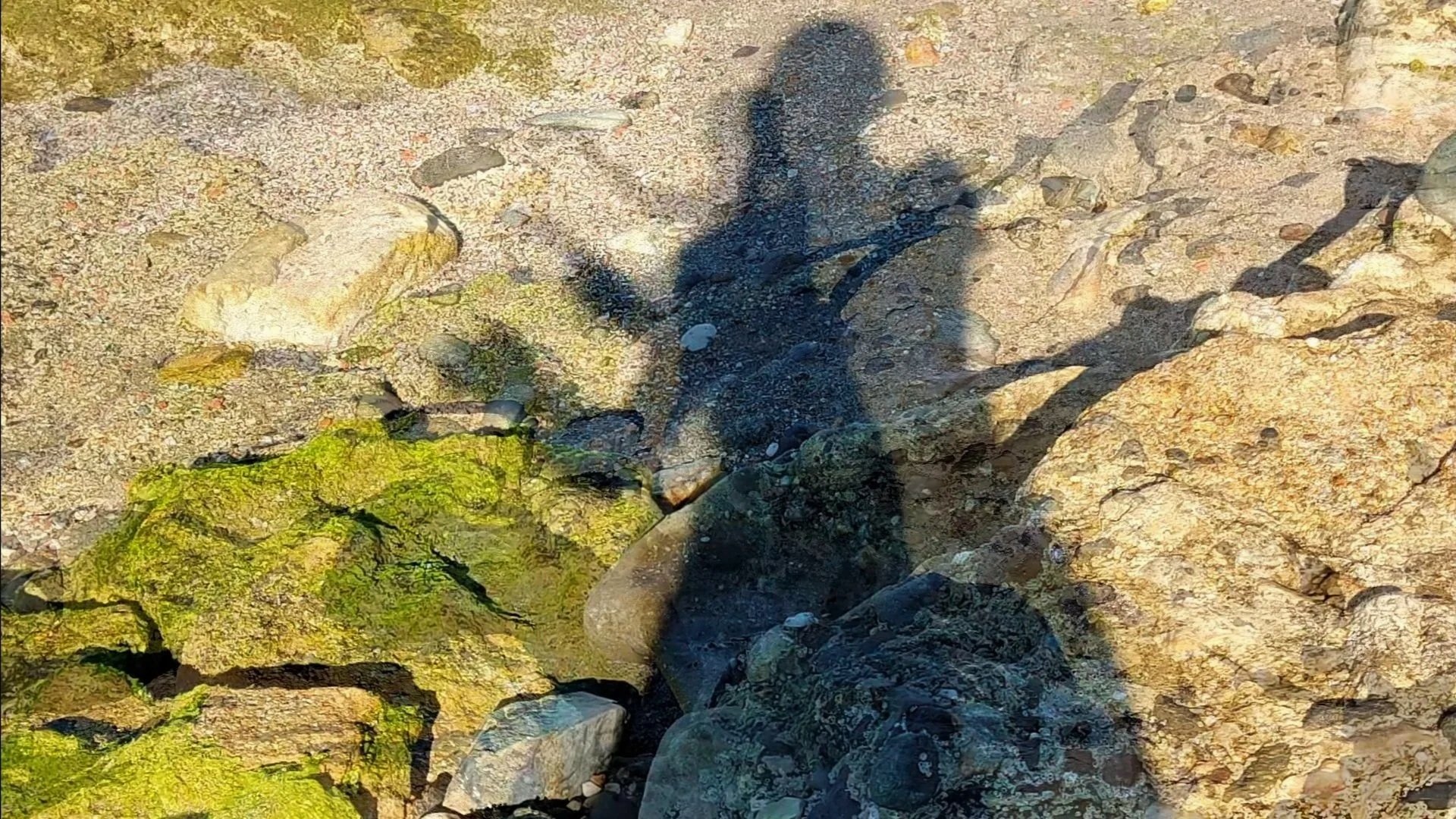 🛏️ 🚂🌀The Day I Awoke in My Own Dawn