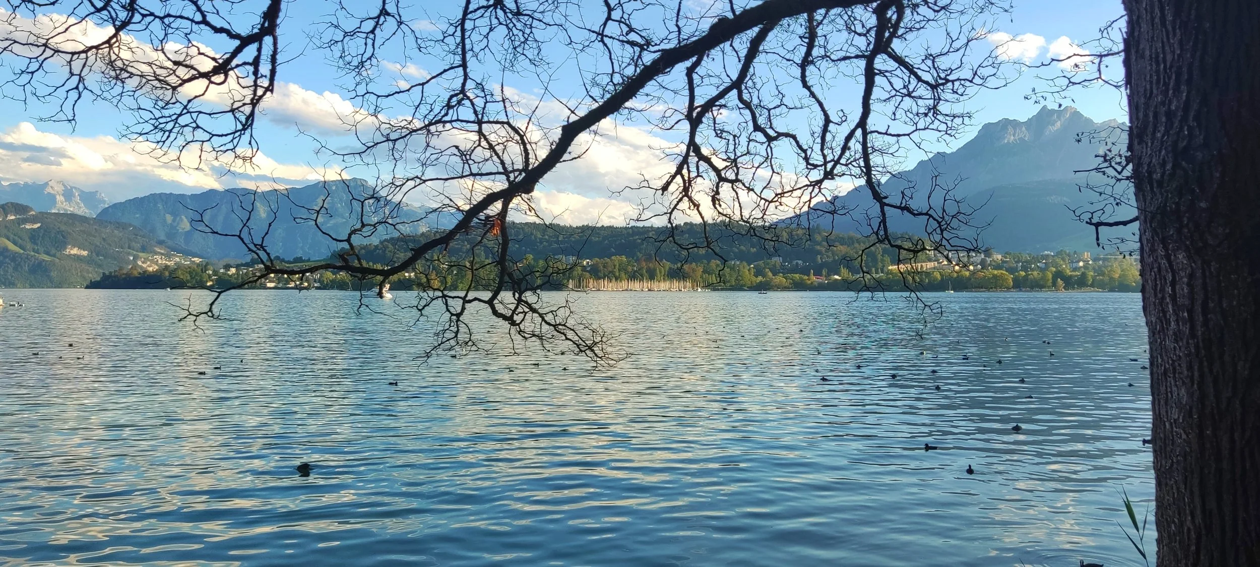 The Wonderful Things That Can Fit into a Single Day A photographic diary · Lucerne, Switzerland · September 2026 Mithea D. © 2026