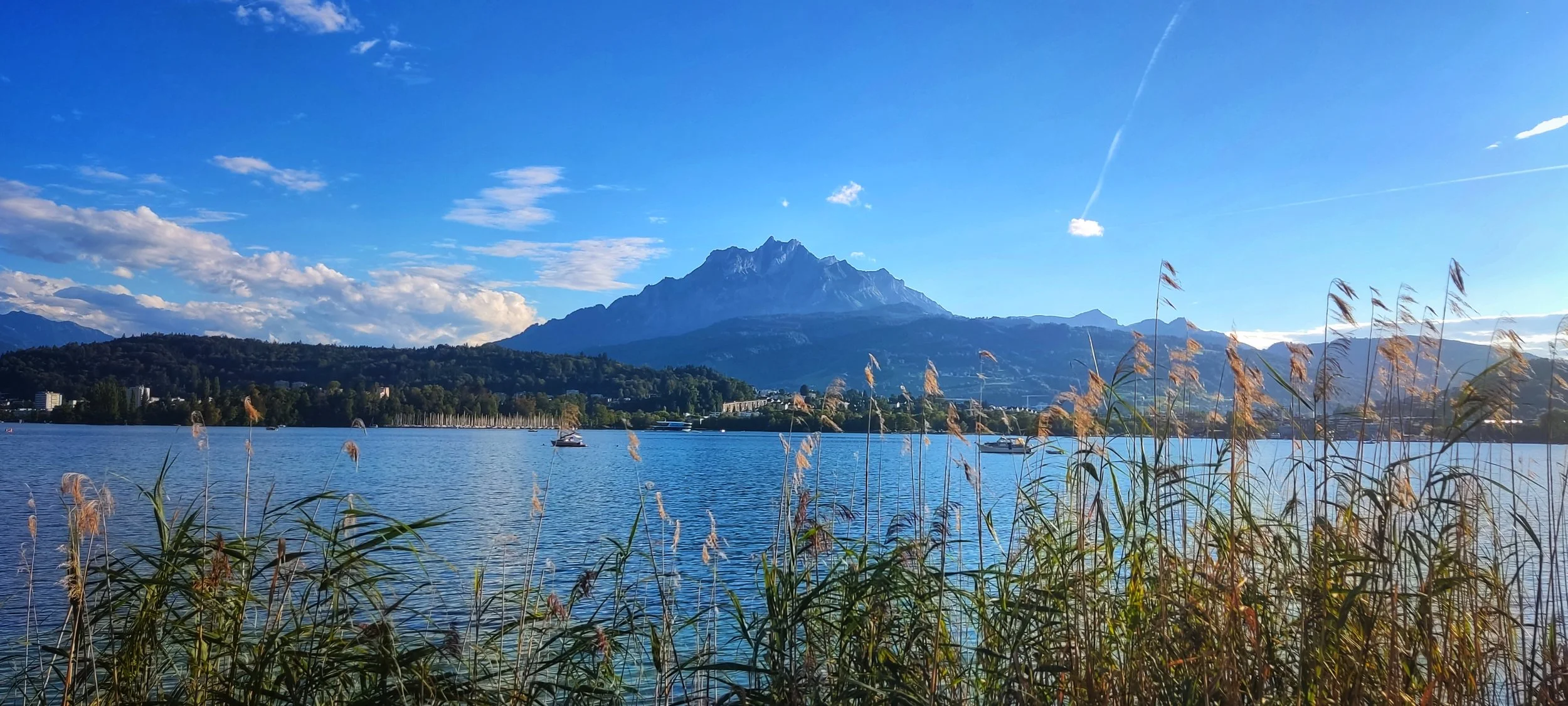 The Wonderful Things That Can Fit into a Single Day A photographic diary · Lucerne, Switzerland · September 2026 Mithea D. © 2026