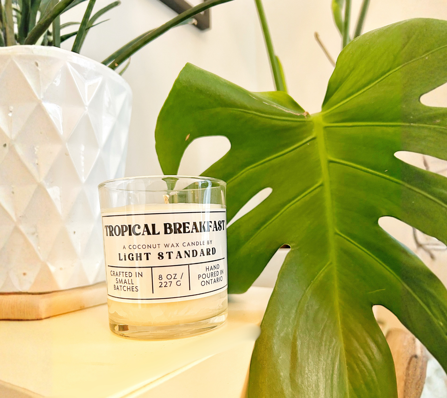 Tropical breakfast.png