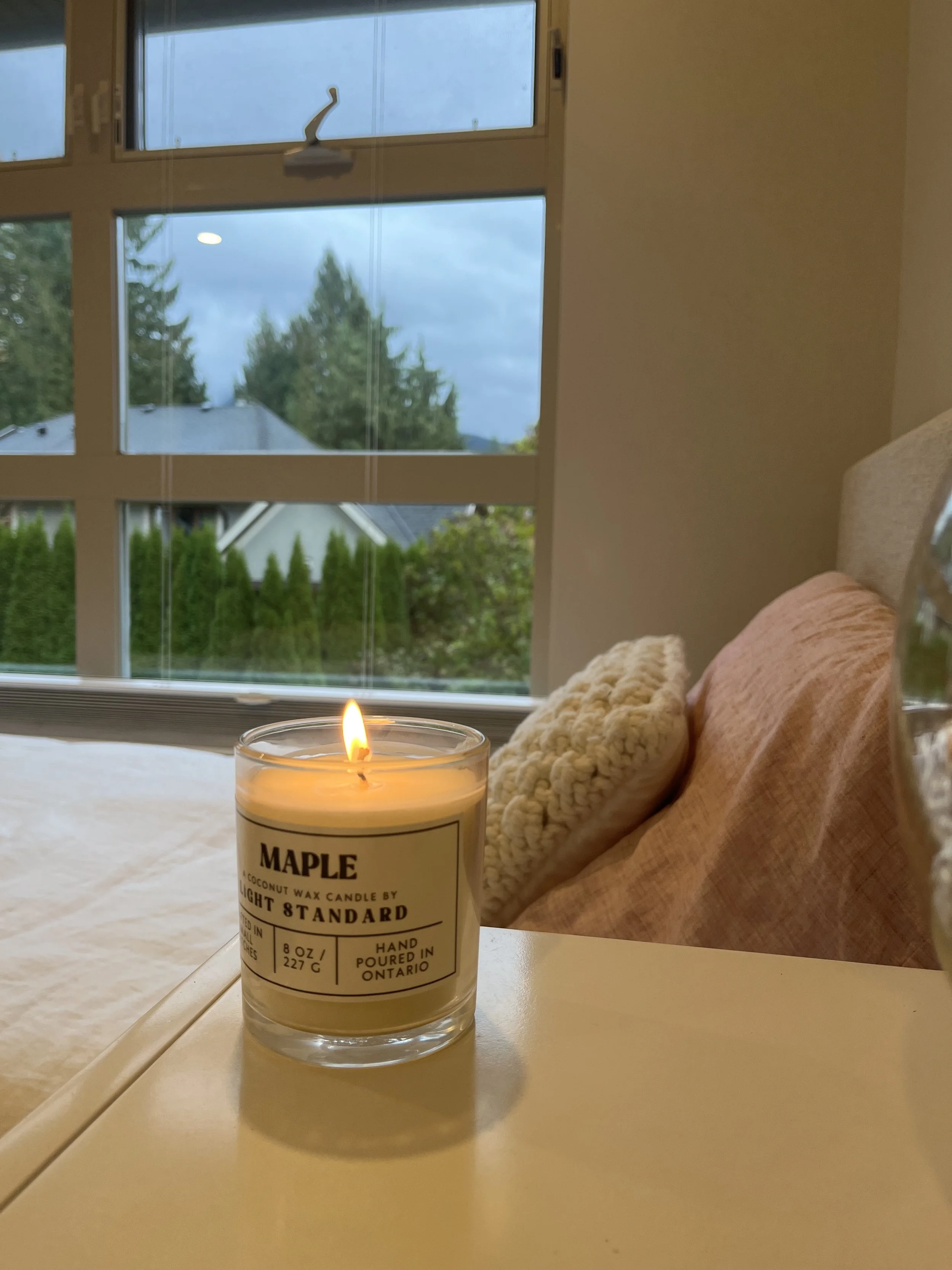 Cozy maple on a fall afternoon from Shelley in North Vancouver, BC