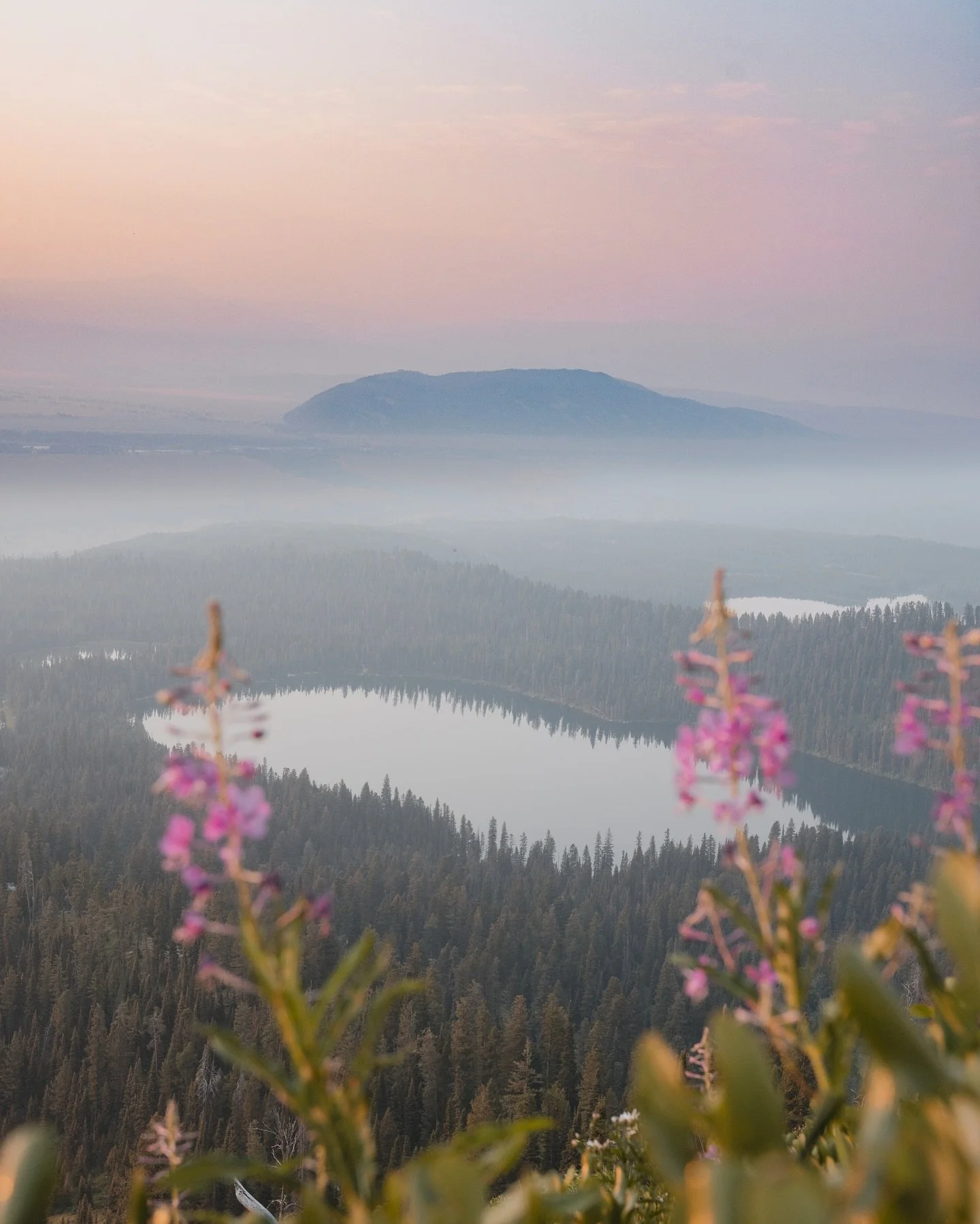 The Scenic Route ✨

I absolutely adore it when trails offer endless scenic views. For me, it's not just about reaching the destination, but about experiencing the entire journey. 
What about you? What motivates you to choose a hike?

📍Delta Lake via
