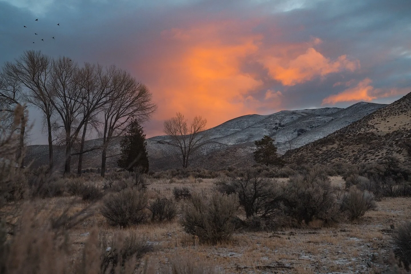 Even on the cloudiest of days, the light finds a way through. 

#chasinglight #naturetherapy