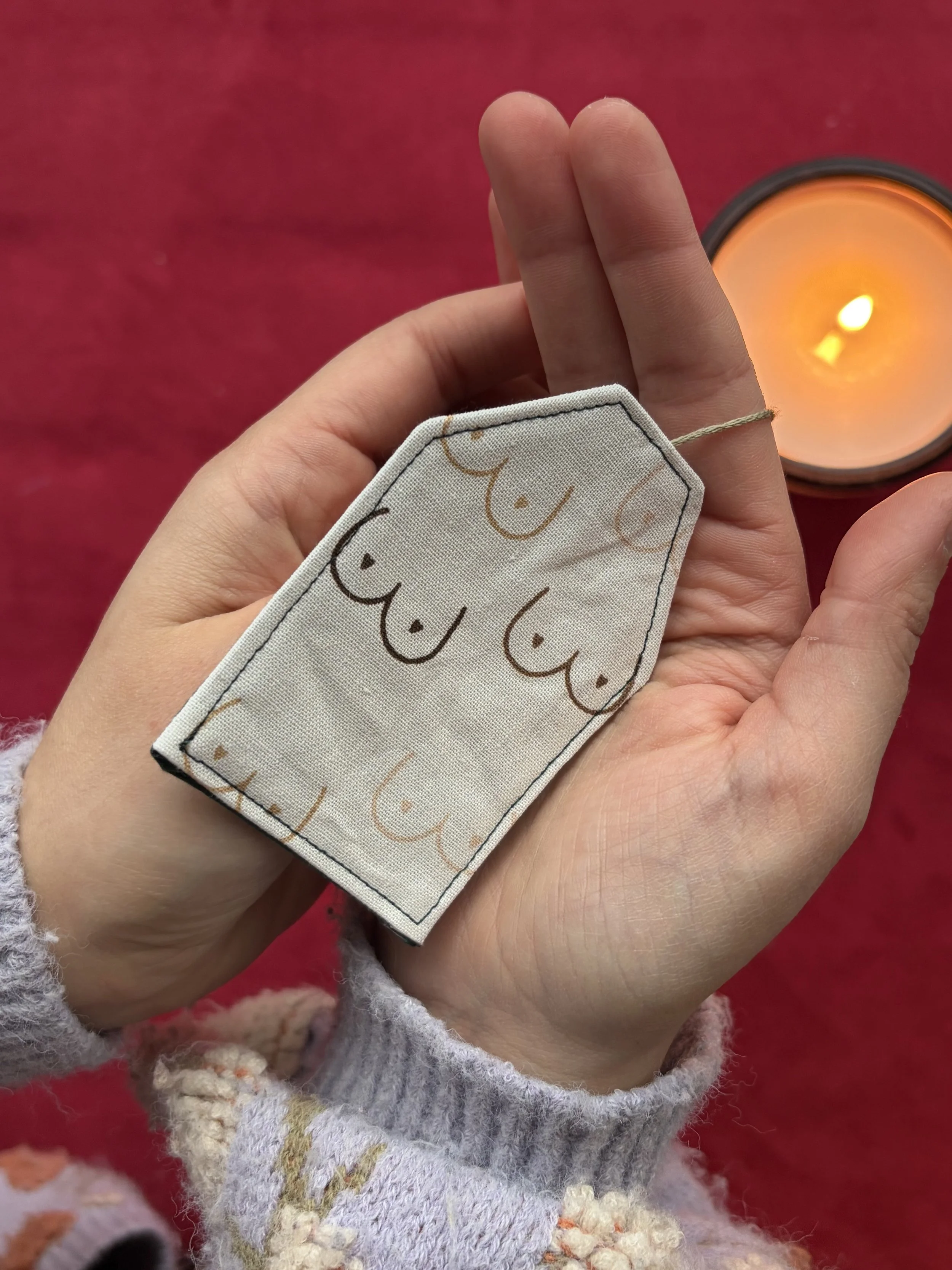 Boobies bookmark 1.jpg