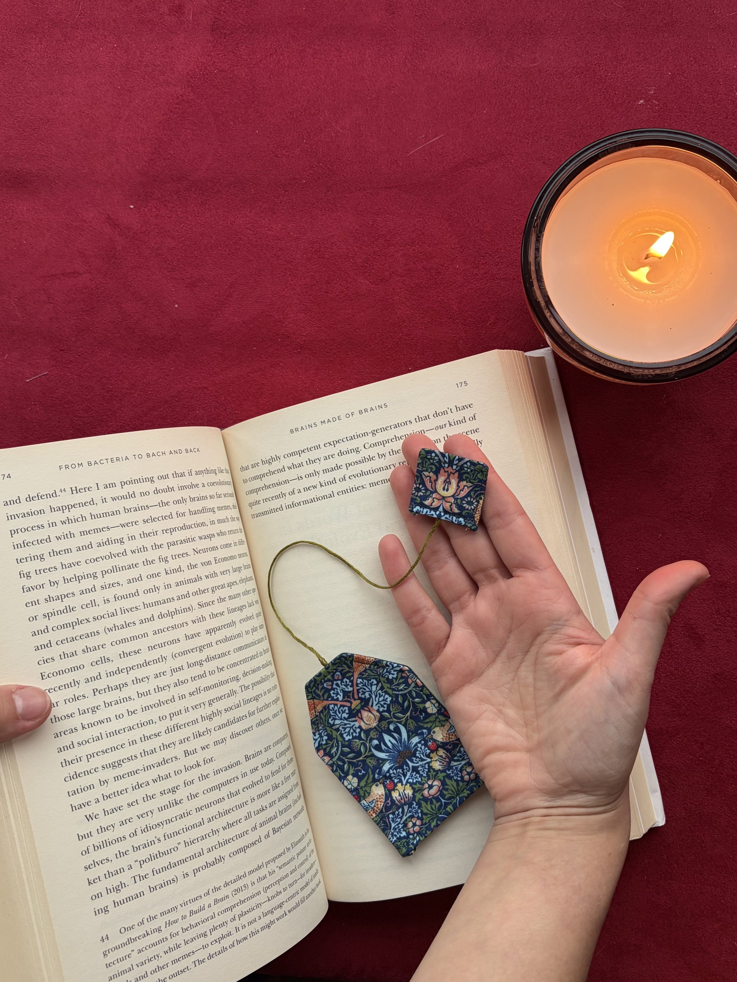 strawberry thief bookmark 5.jpg