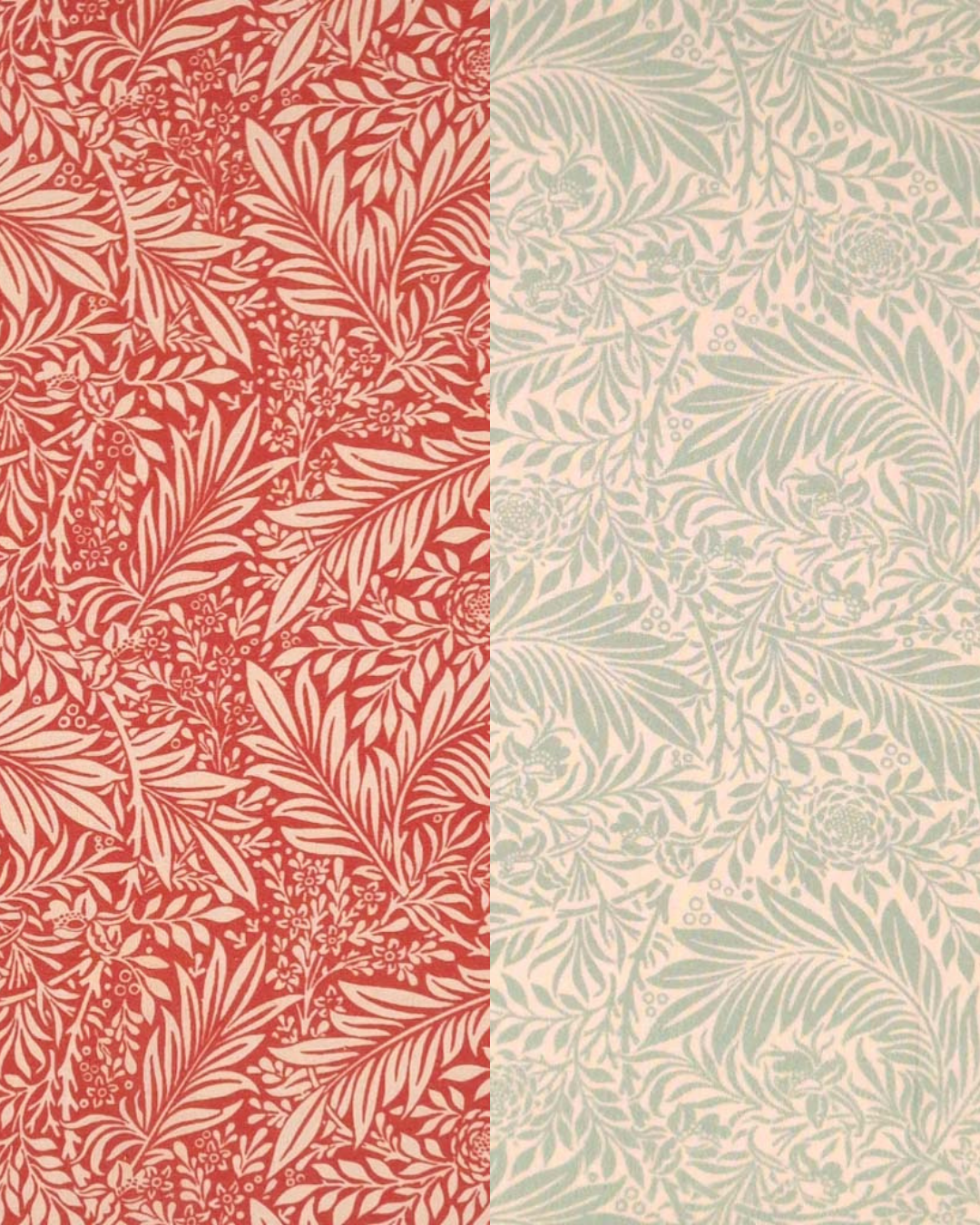 Untitled design (3).png