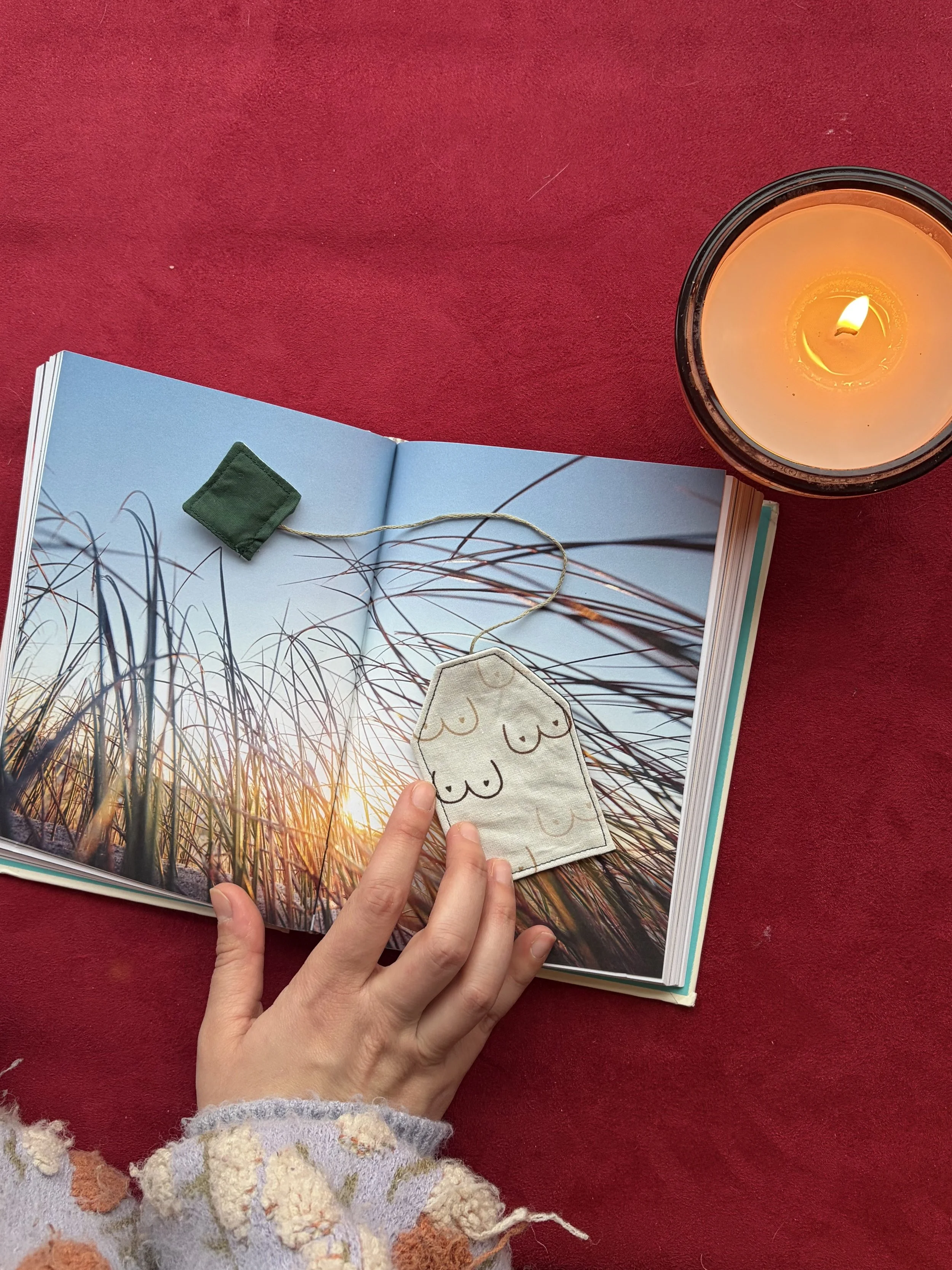 Boobies bookmark 2.jpg