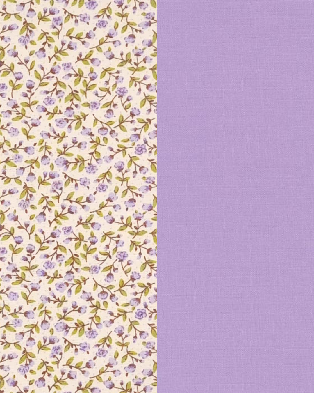 Untitled design (4).png