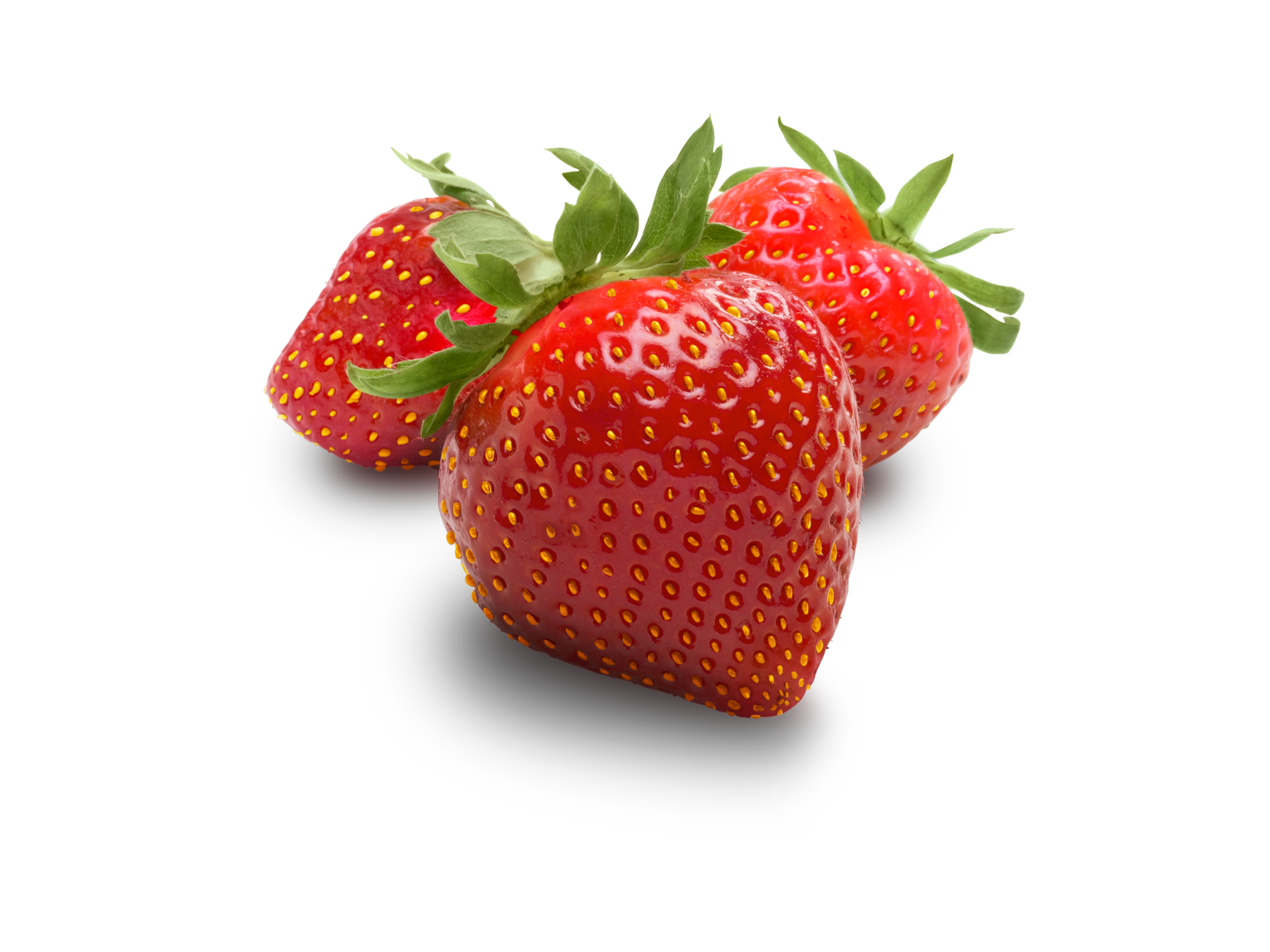 Strawberry Social