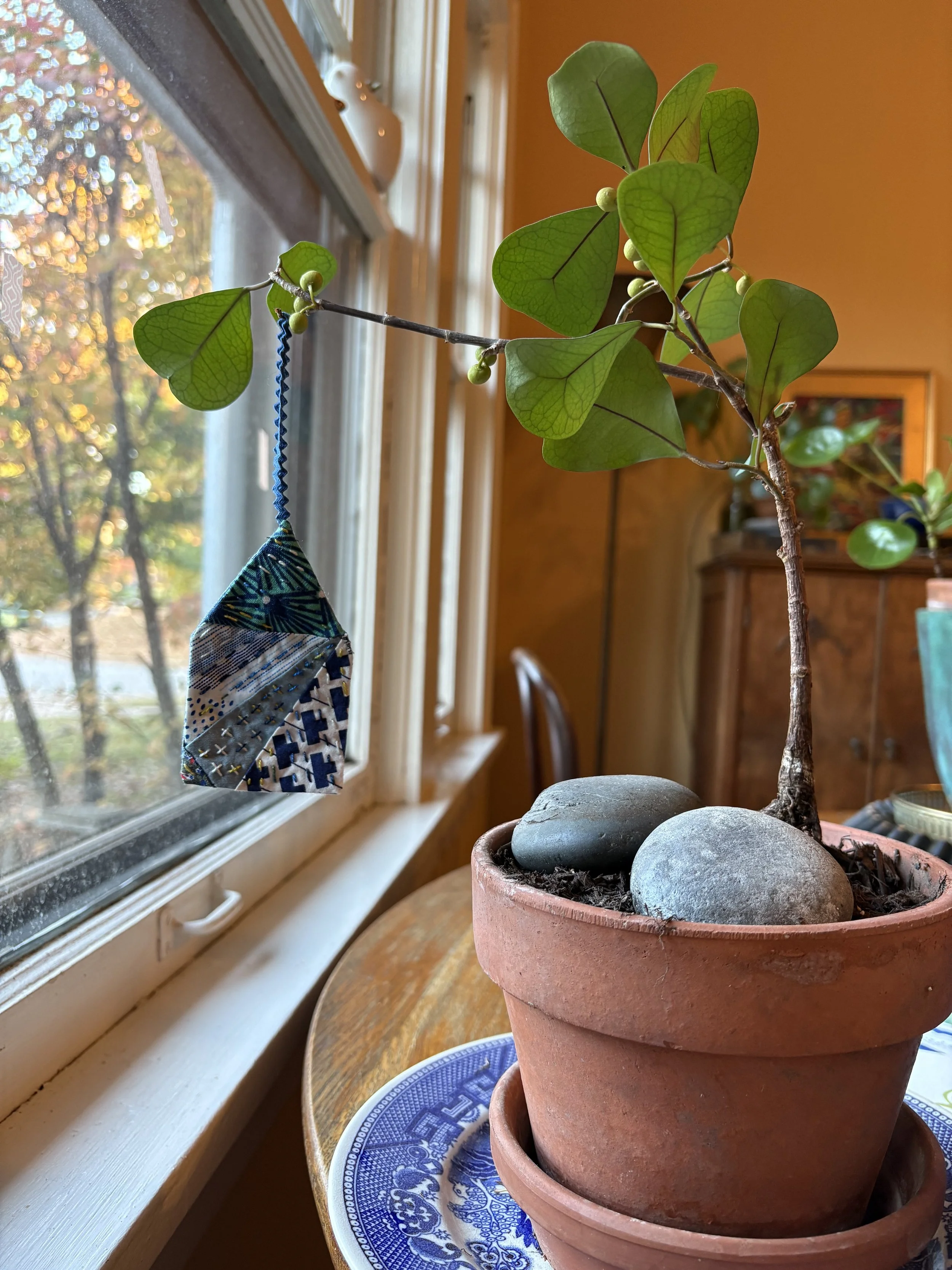 IMG_1936.jpeg (Copy)