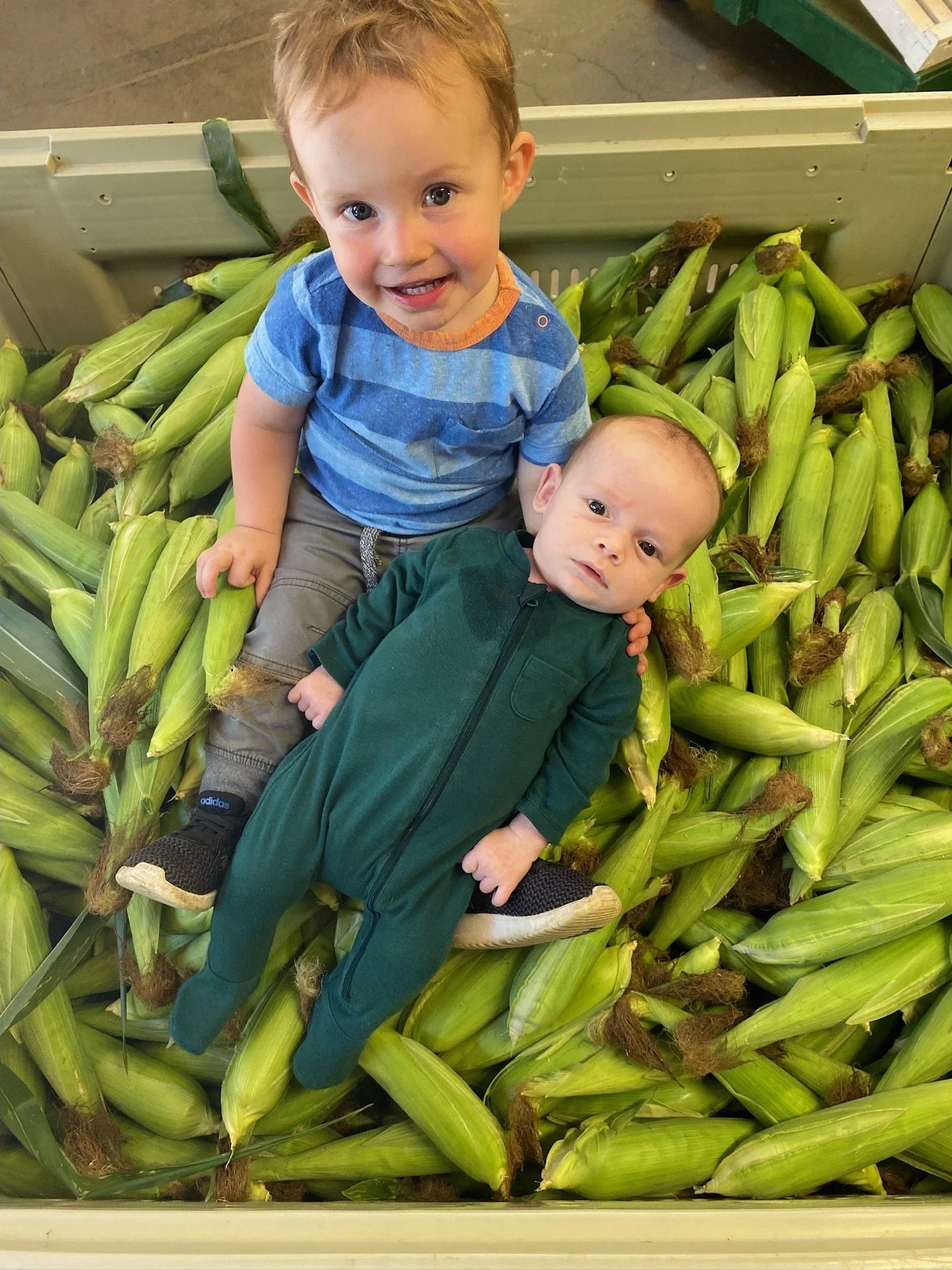 Two young children sitting among fresh ears of corn in a store produce section, with one child smiling and the other looking serious.