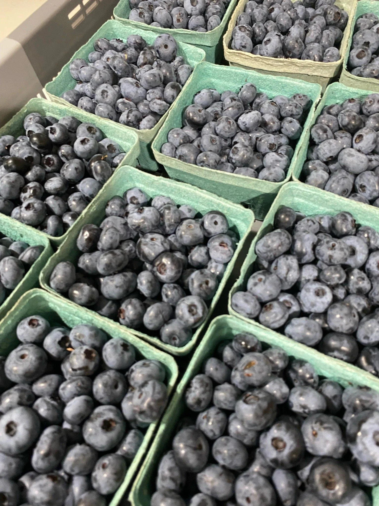 Multiple green containers filled with fresh blueberries.