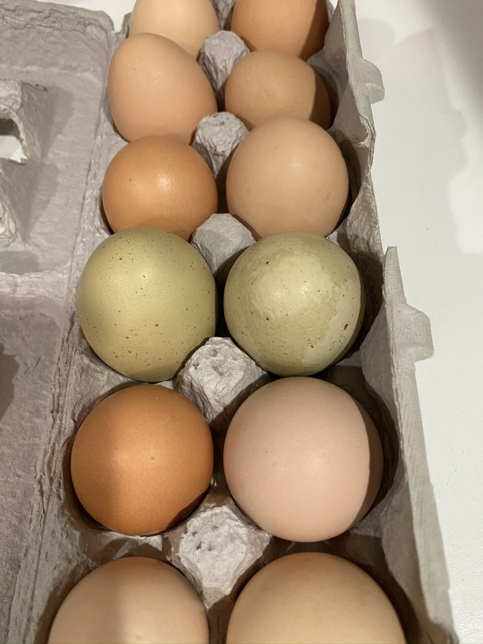 A carton of mixed brown, beige, and green eggs in an egg tray.