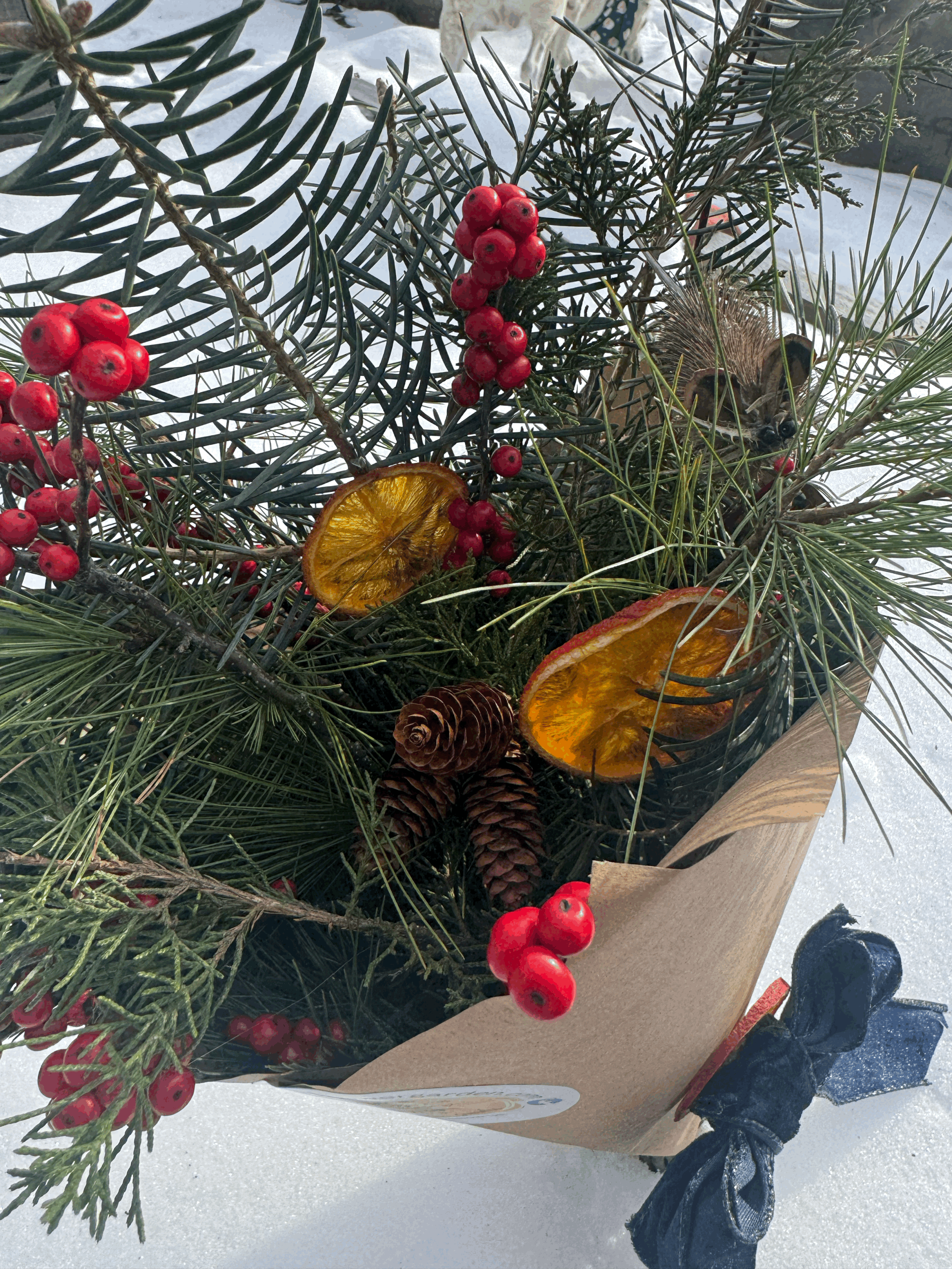 tempImageh9YaS4.gif (Copy)