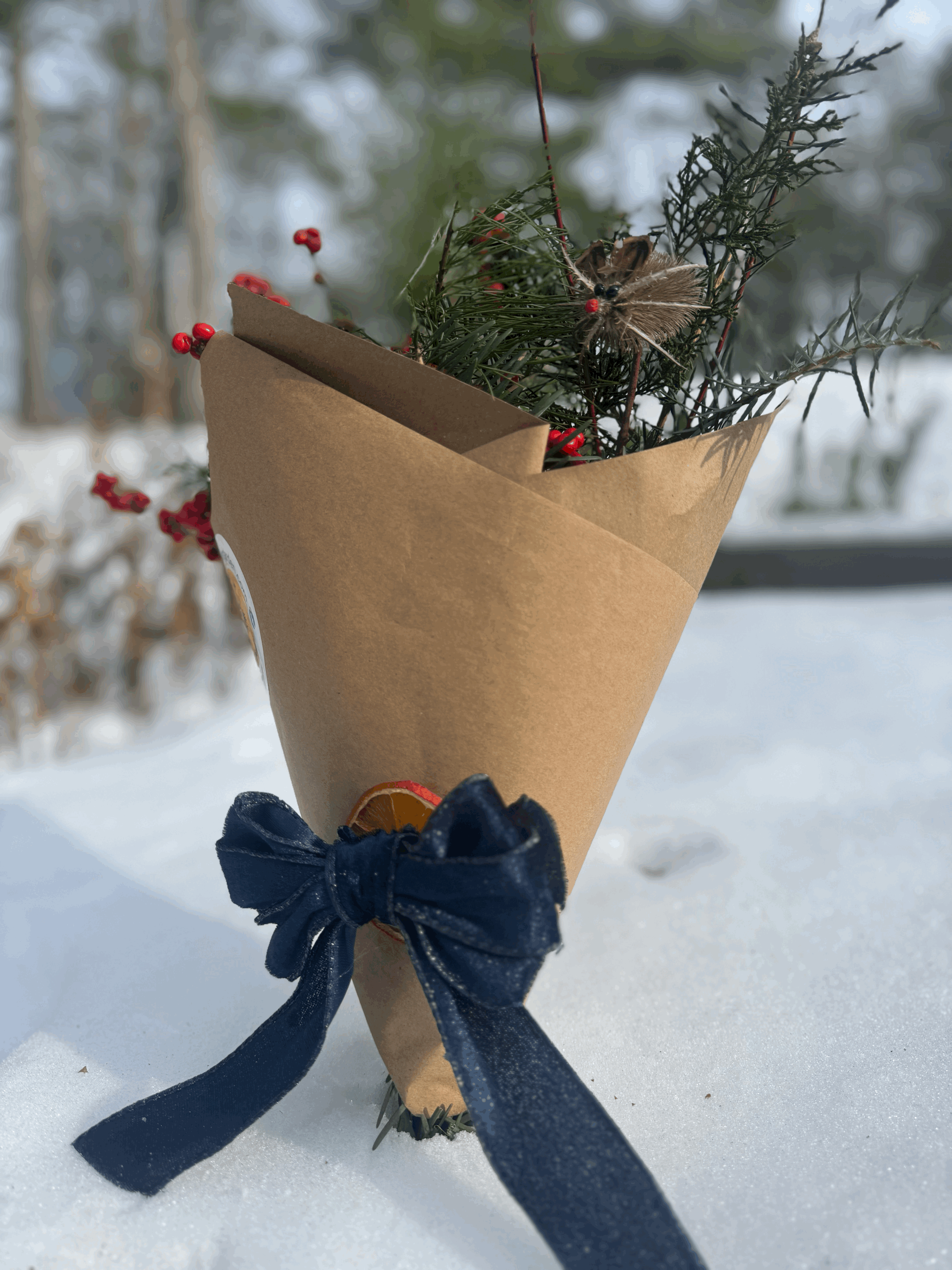 tempImage2un3Hi.gif (Copy)