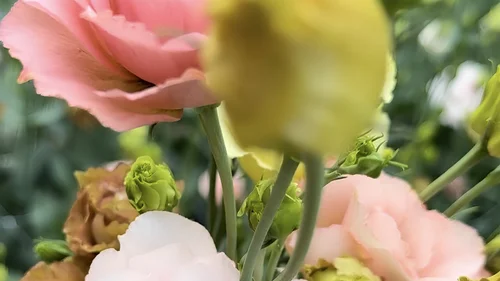 Mama B's Flower Garden