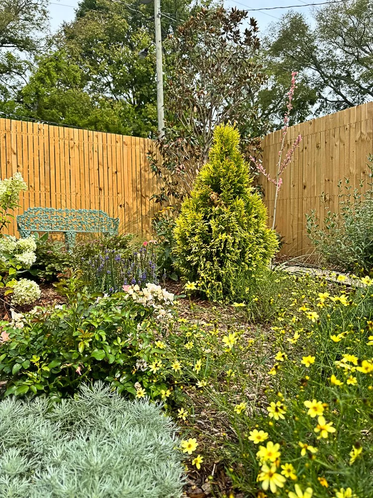 Therapaint garden-3900.jpg