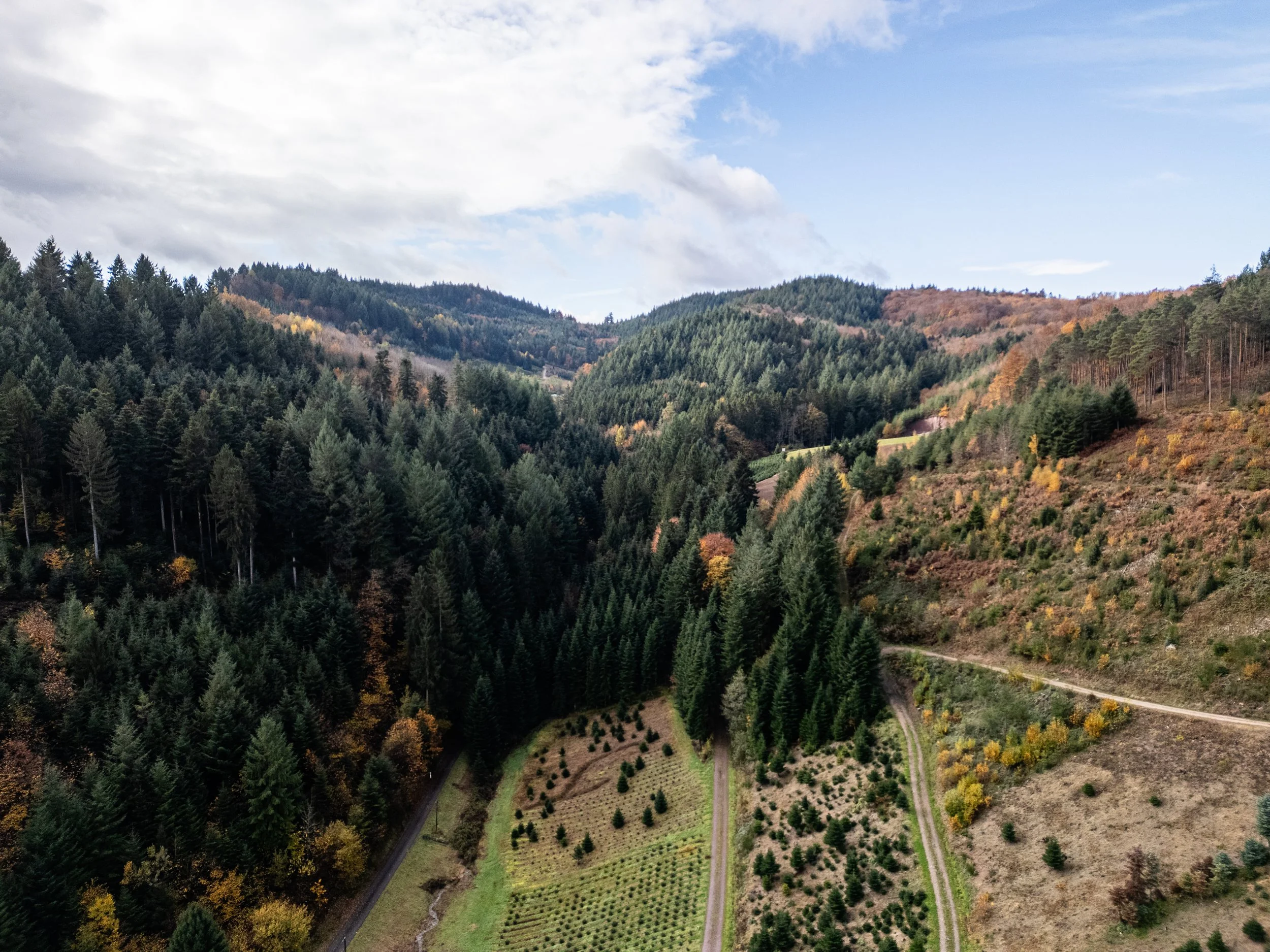 Oberkirch-2 (2 sur 32).jpg