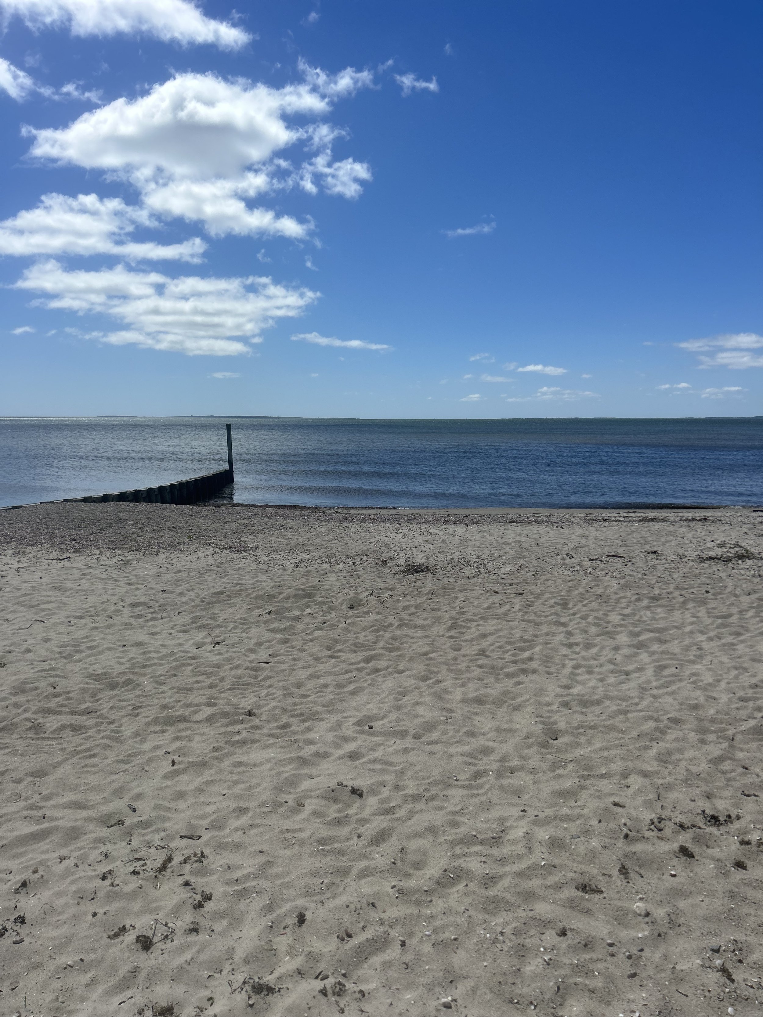 IMG_6534.jpeg