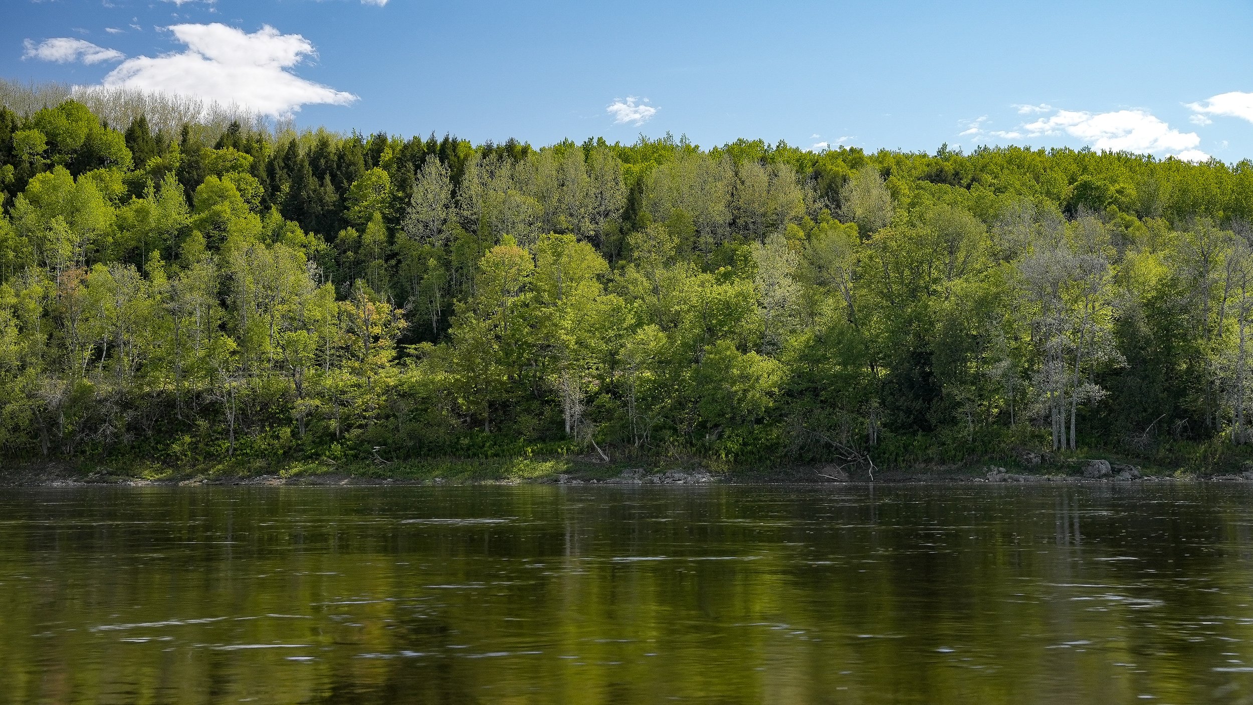 A scenic view of a forested hillside with lush green trees next to a calm river reflecting the sky and trees, with a partly cloudy blue sky.