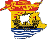 The national flag of Sri Lanka, featuring a gold lion holding a sword on a maroon background with four golden bo leaves in each corner.