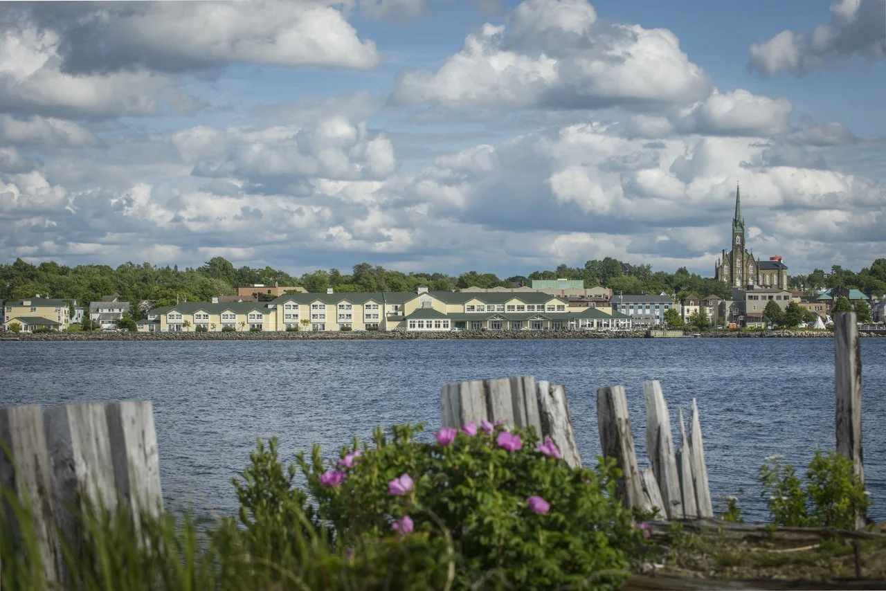 A waterfront view of a town with modern houses, a church with a tall spire, and a partly cloudy sky, with pink flowers and weathered wooden posts in the foreground.