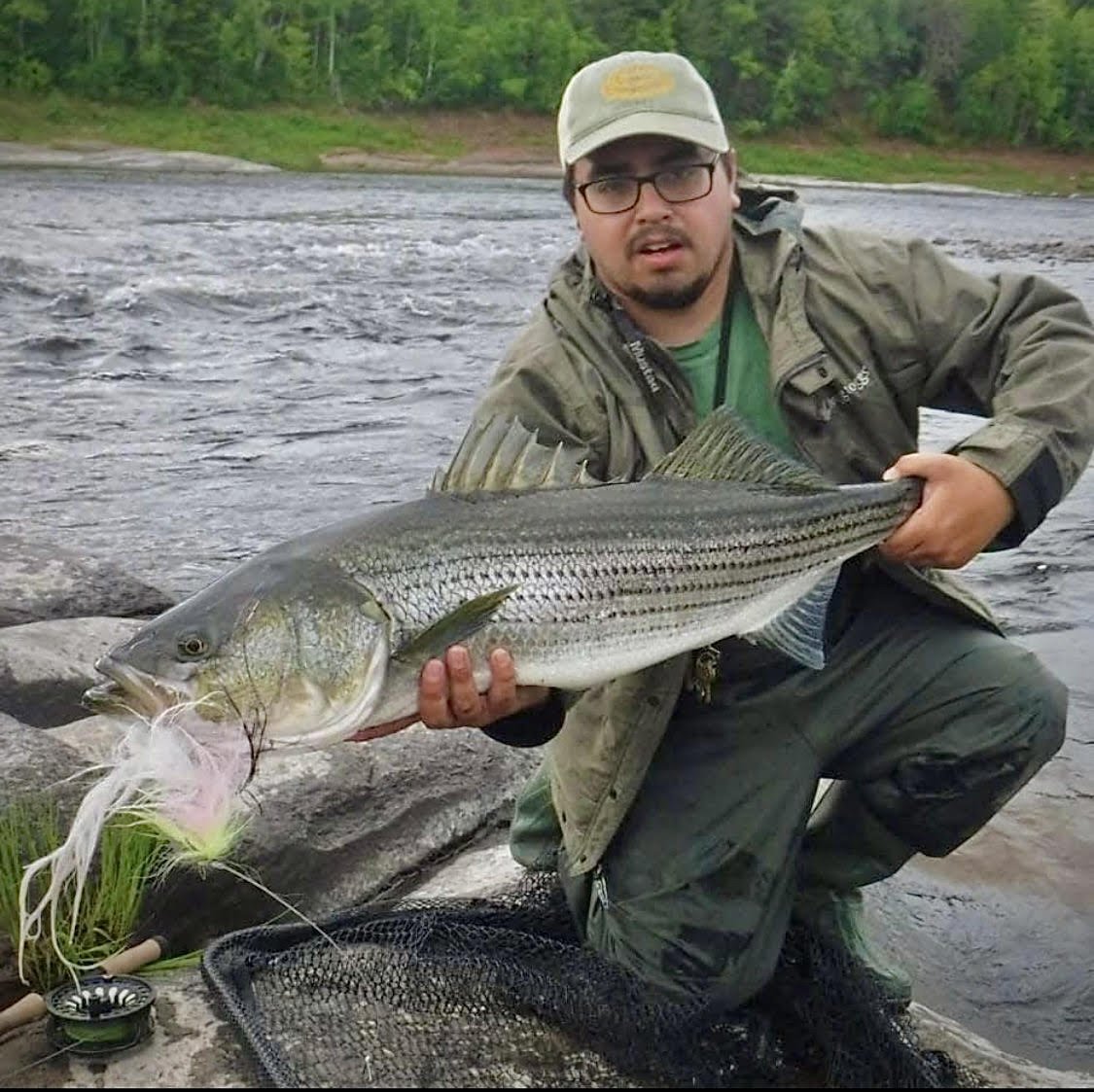 Man kneeling on rocks by a river, holding a large striped bass fish he caught.
