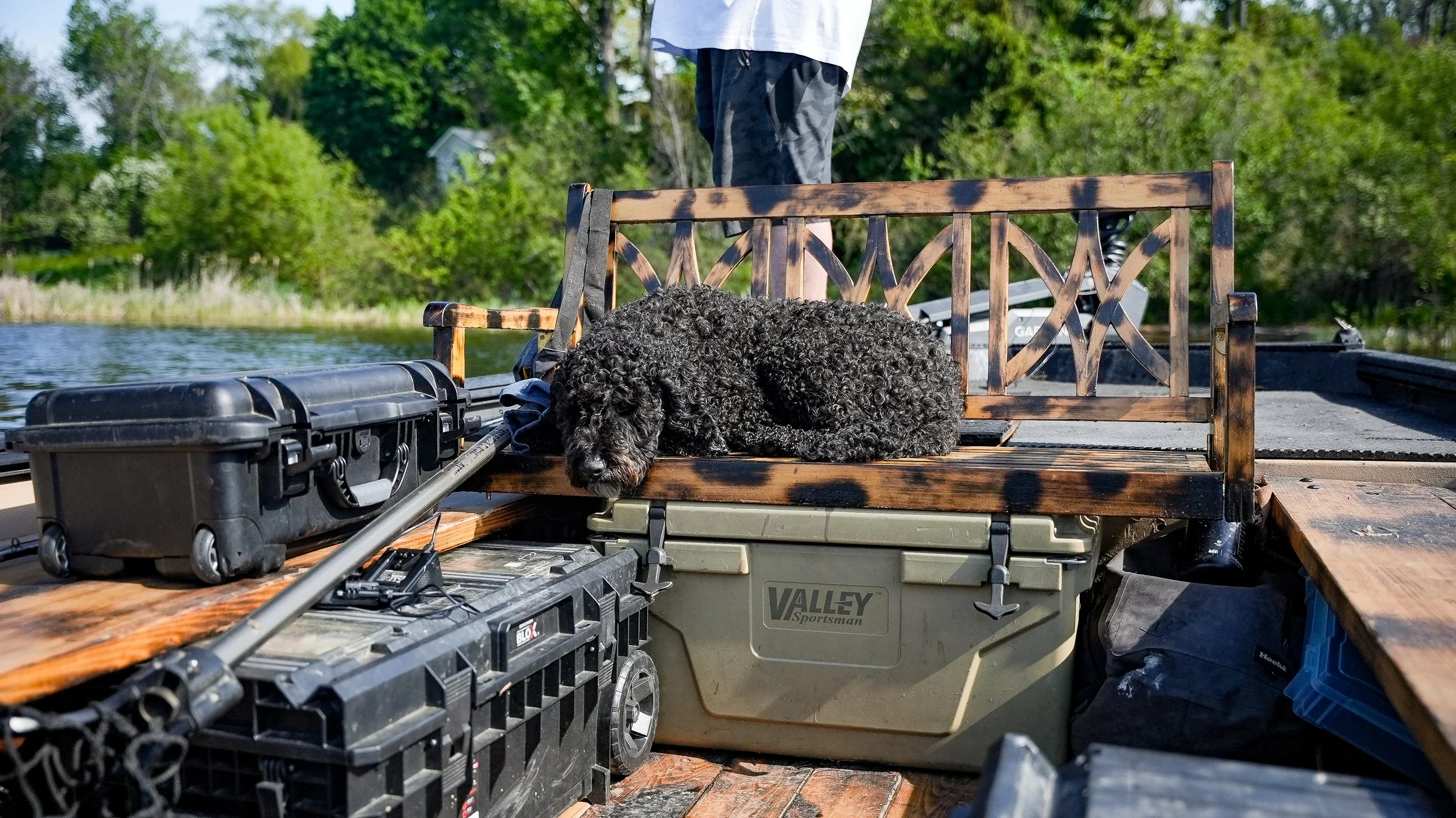 A black curly-coated dog is lying on a wooden bench in a boat on a lake, surrounded by various fishing gear and storage containers, with green trees and a house in the background.
