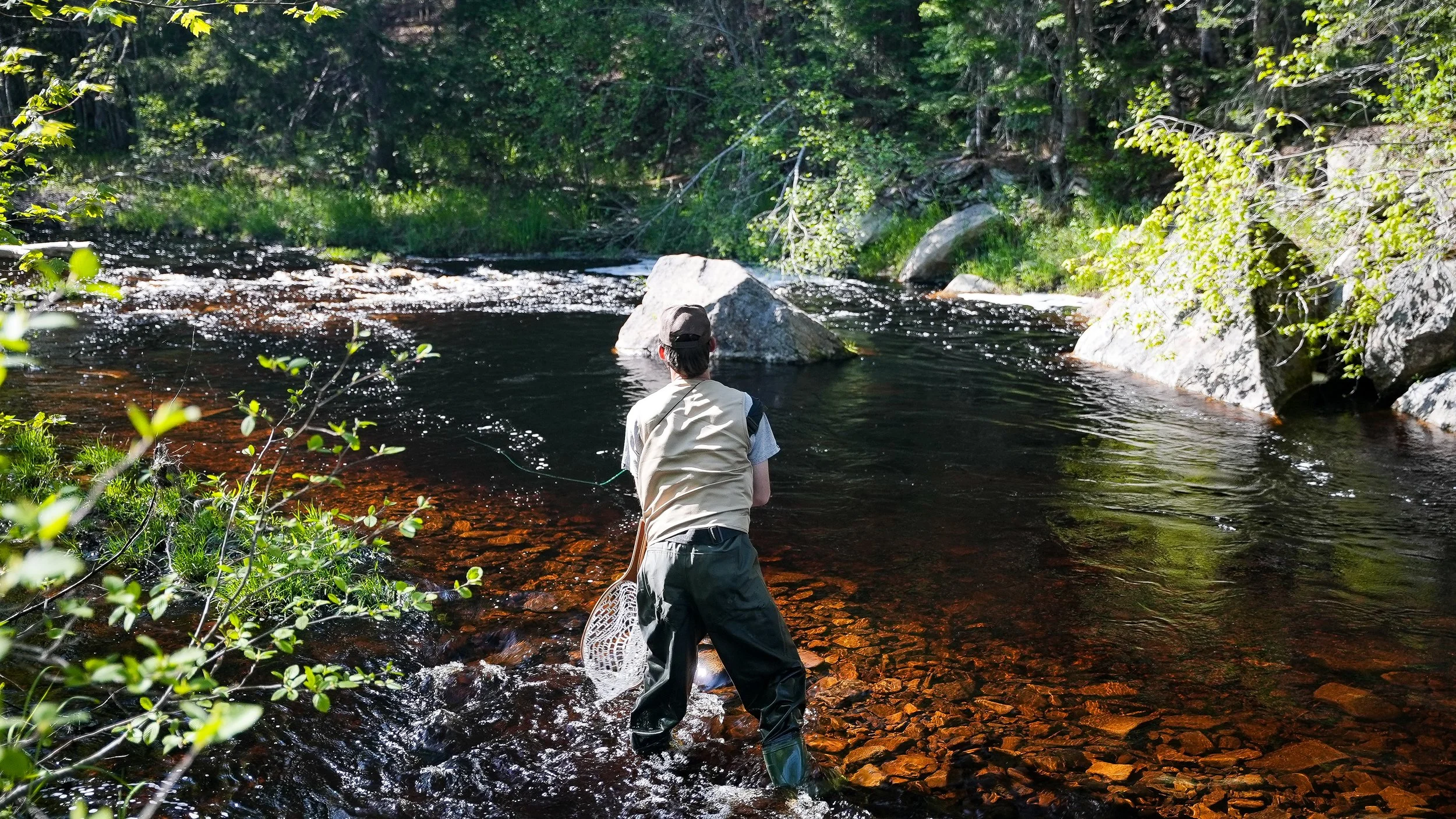 Person fishing in a river surrounded by trees and rocks.
