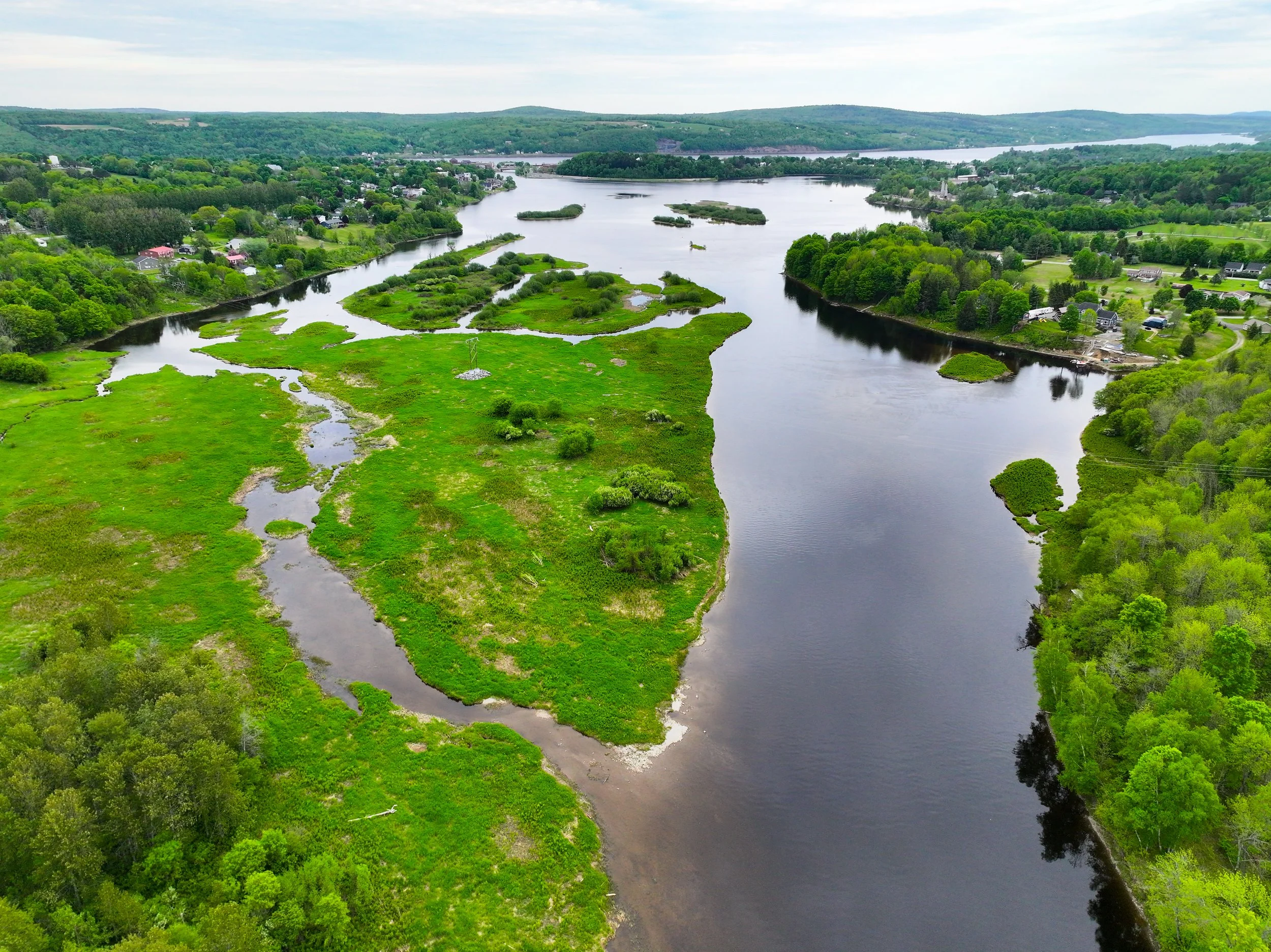 Aerial view of a river winding through a green landscape with trees, grassy wetlands, and residential areas, with hills and cloudy sky in the background.