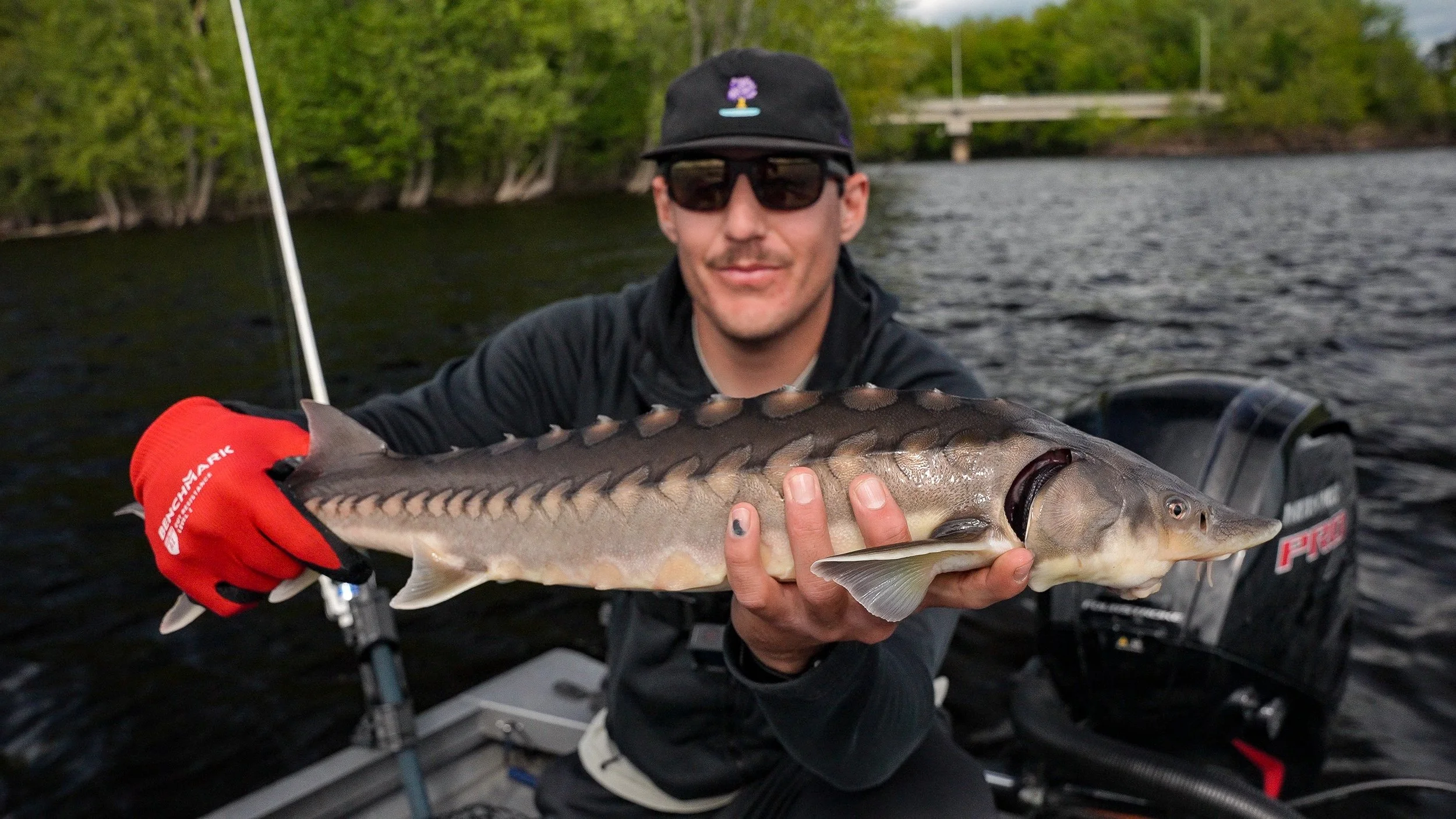 Man wearing sunglasses, a black cap with a tree design, and red gloves holding a large fish while sitting in a boat on a lake surrounded by green trees.