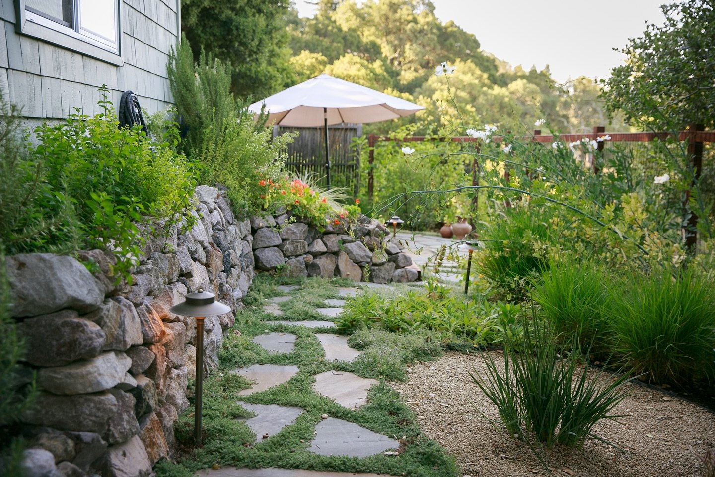 🌿 A garden that meanders like a quiet conversation. Stone paths, soft greenery, and layered textures create a space that feels like it&rsquo;s always been here. 

#eastbaygardens #naturaldesign #sustainablelandscaping #orindacalifornia #lafayettecal