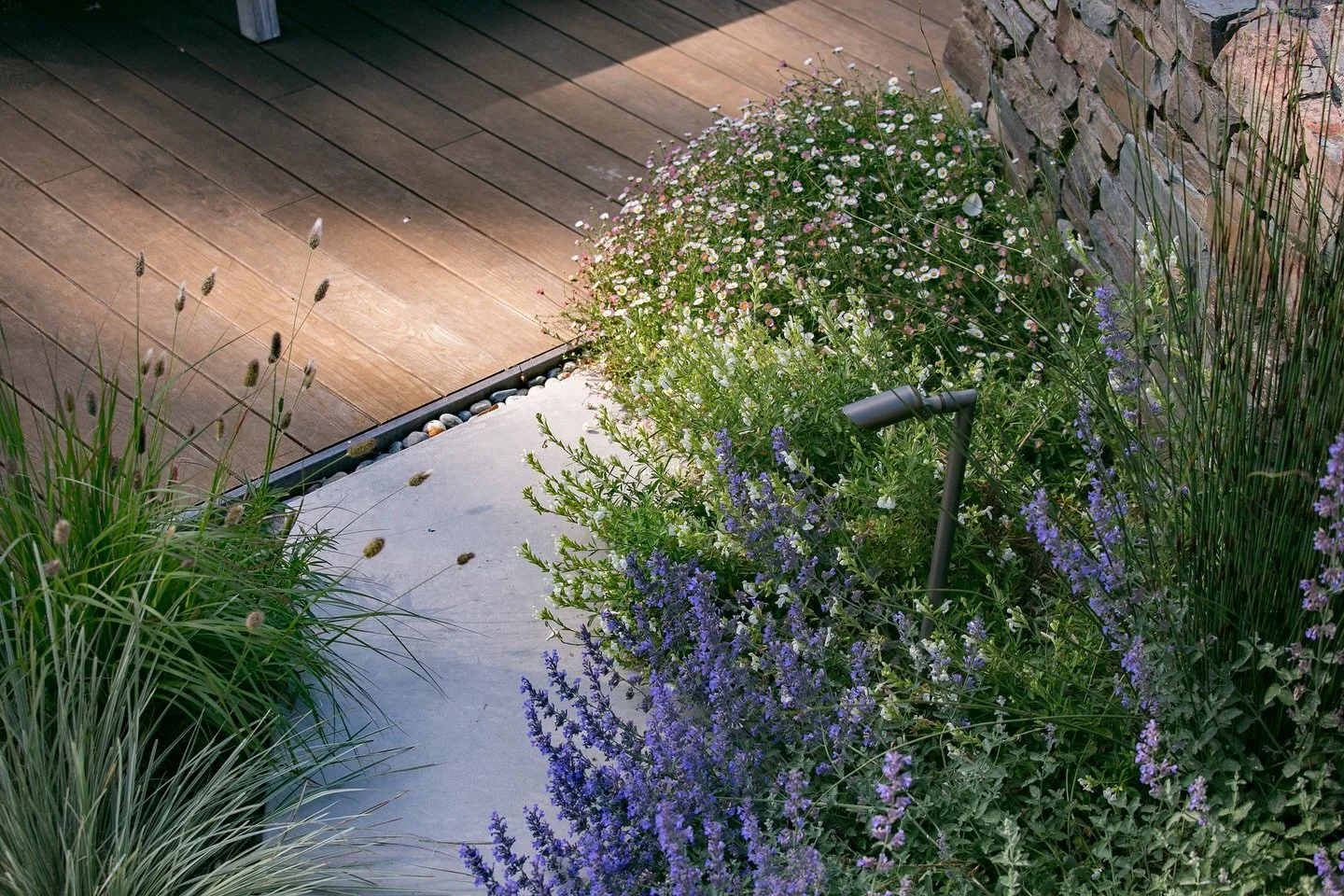 Who says you have to wait for fall to plant? With the right approach, summer can be the perfect season to lay the groundwork for a thriving garden. We&rsquo;ve found that a little extra intention&mdash;watering deeply, choosing climate-adapted plants