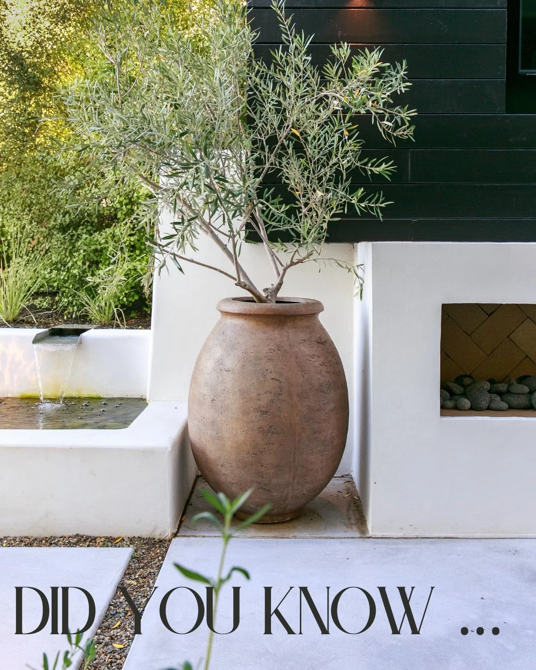 Before the plans and the projects&hellip; they were these kids! 

Now they&rsquo;re the team behind Envision Landscape Studio - dreaming up landscapes, solving problems, and making sure every detail comes together beautifully. 

Swipe to meet the kid