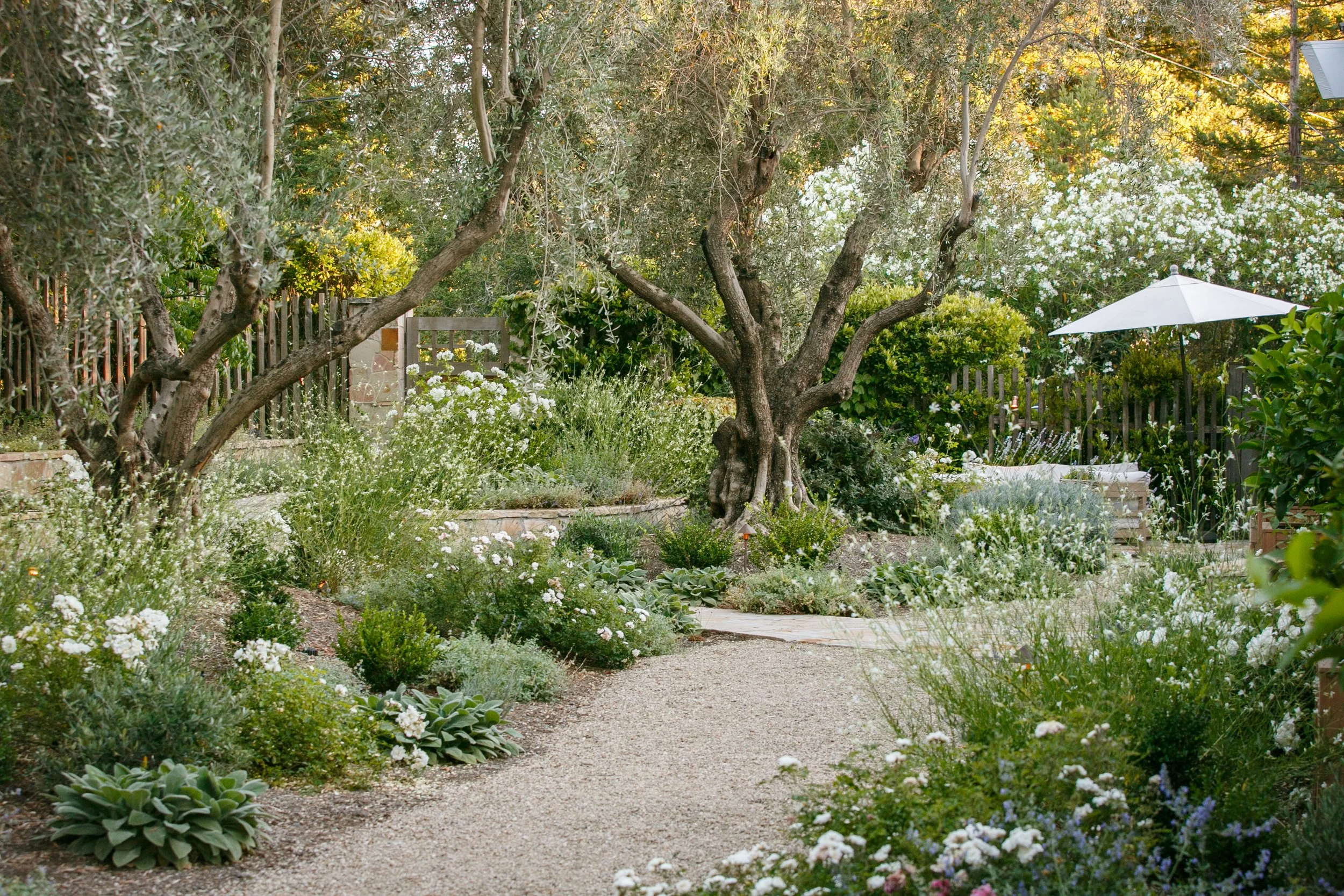 cottage-style-landscape-design-california-fraysse8.jpg