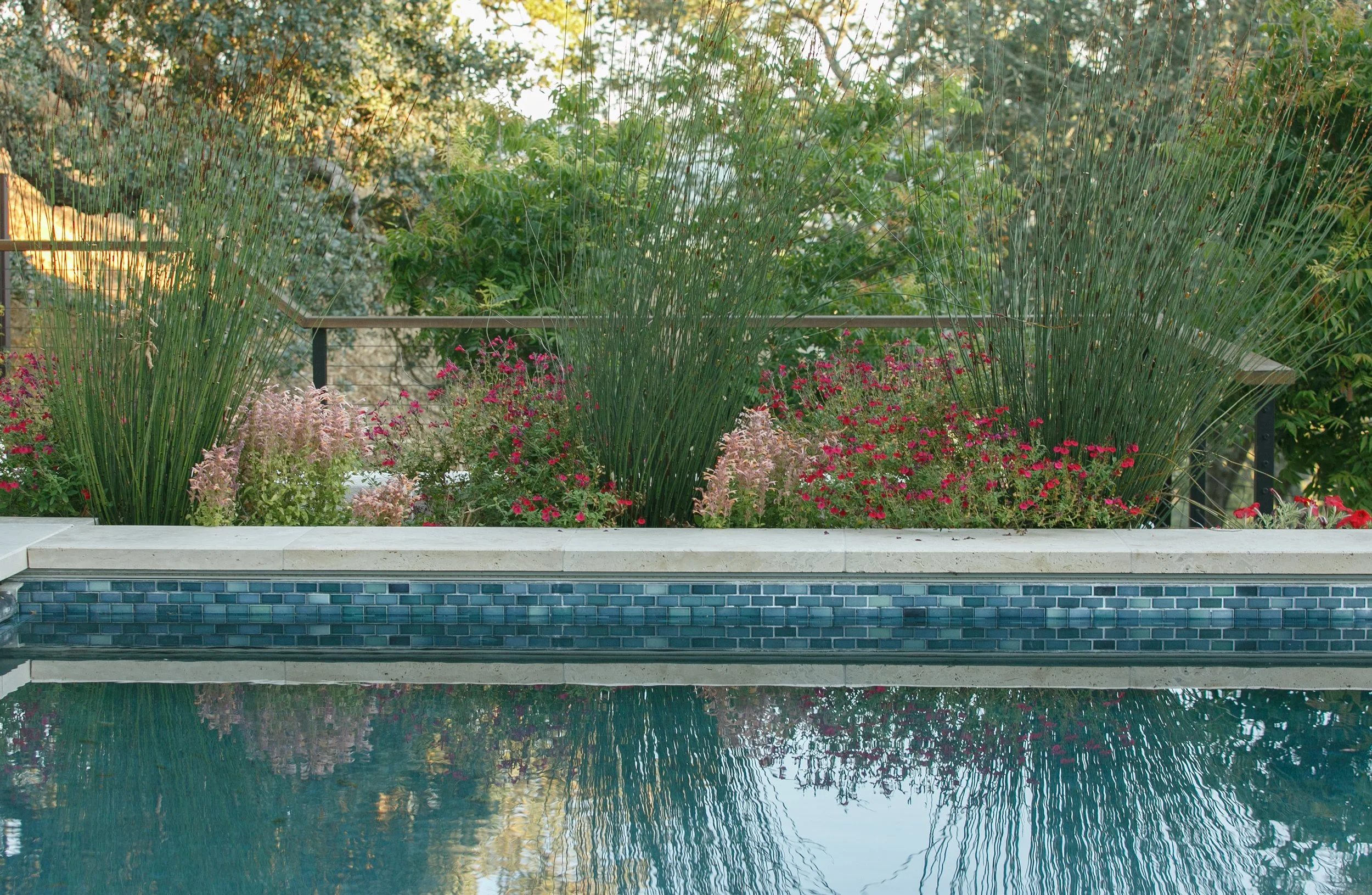 hillside-estate-landscape-design-pool-outdoor-living-east-bay6.jpg