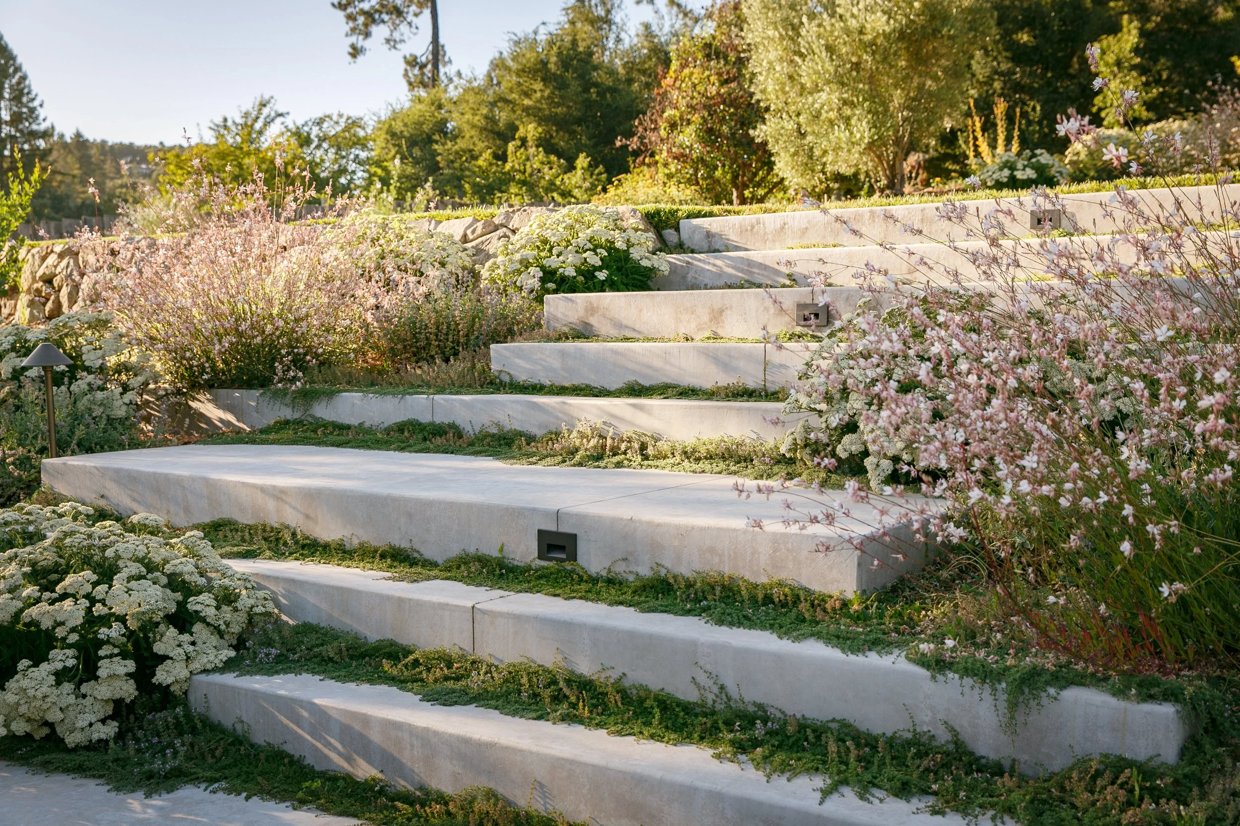 hillside-terraced-landscape-outdoor-living-east-bay7.jpg